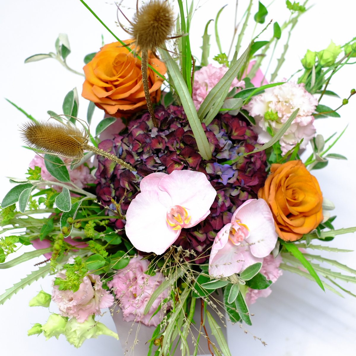 Strip Teasel original