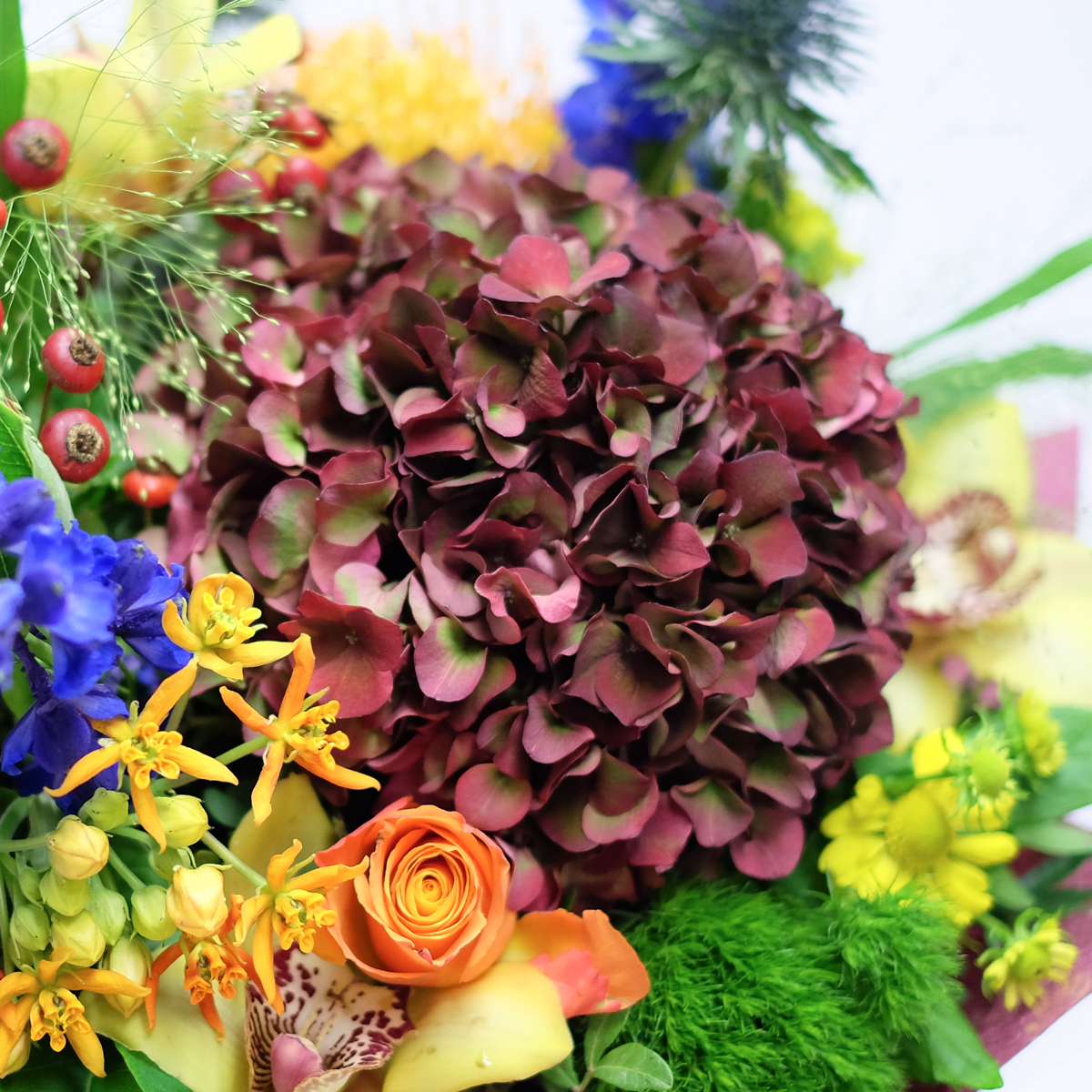 Gunpowder Plot original by Orchidya — flowers available for delivery from Floom