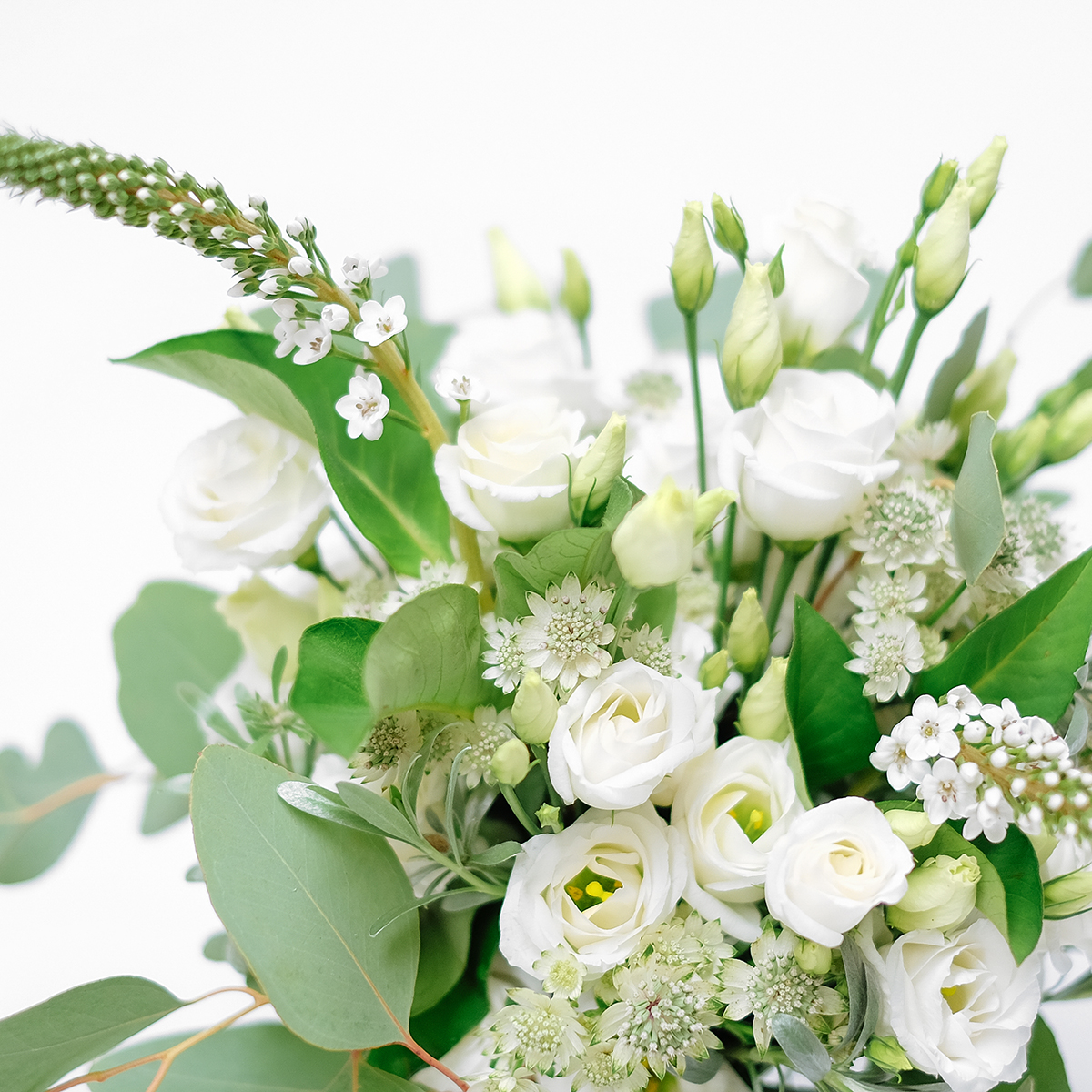 Spring Greens original