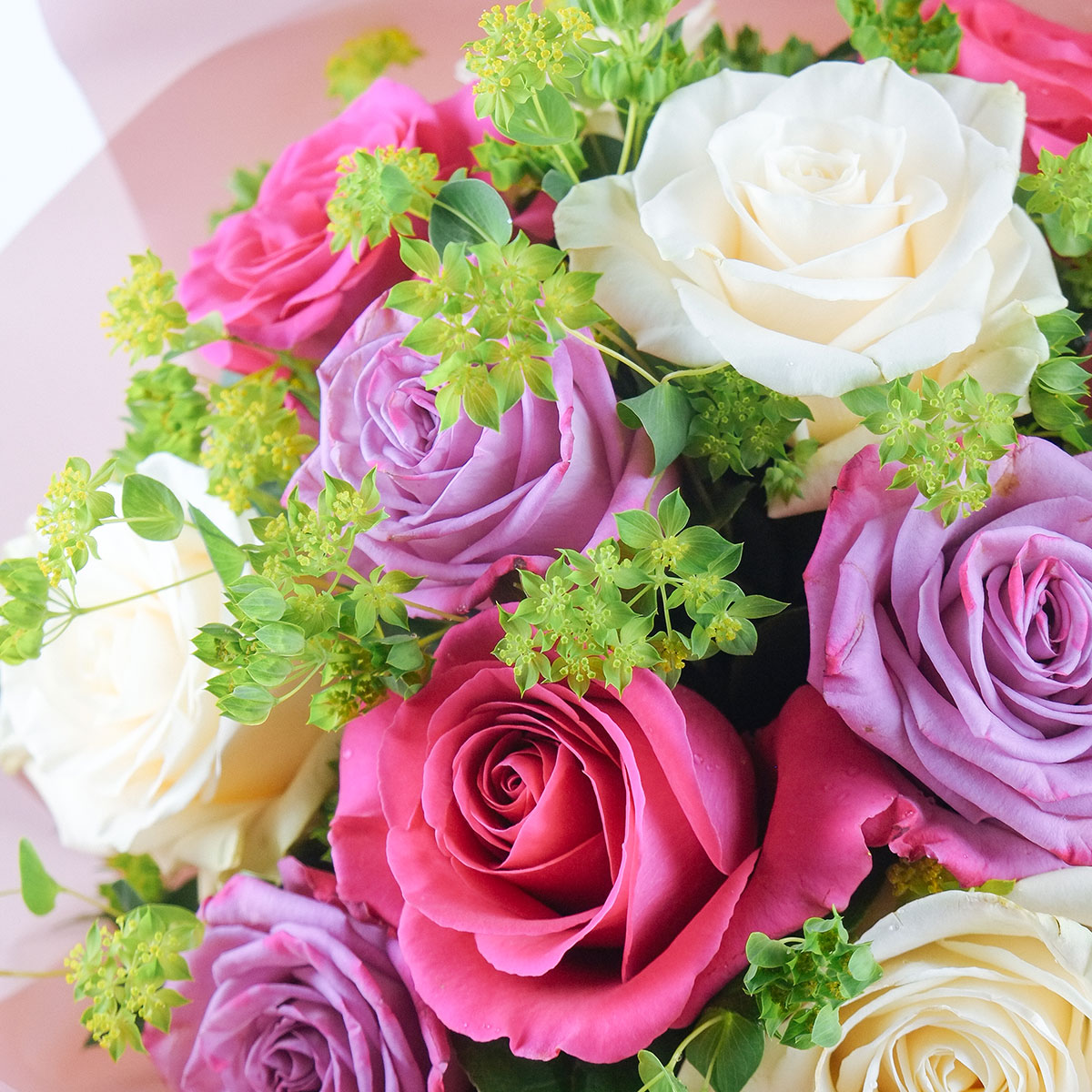 Good Vibes Only original