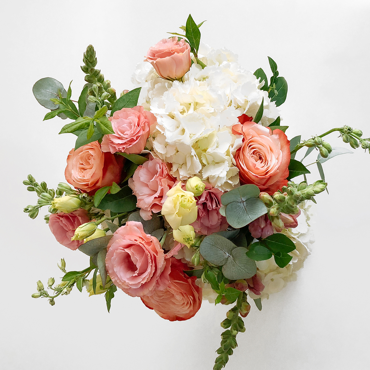 Isobel small original