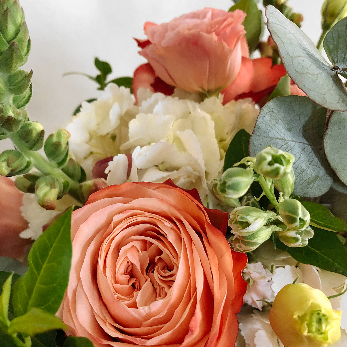 Isobel small original