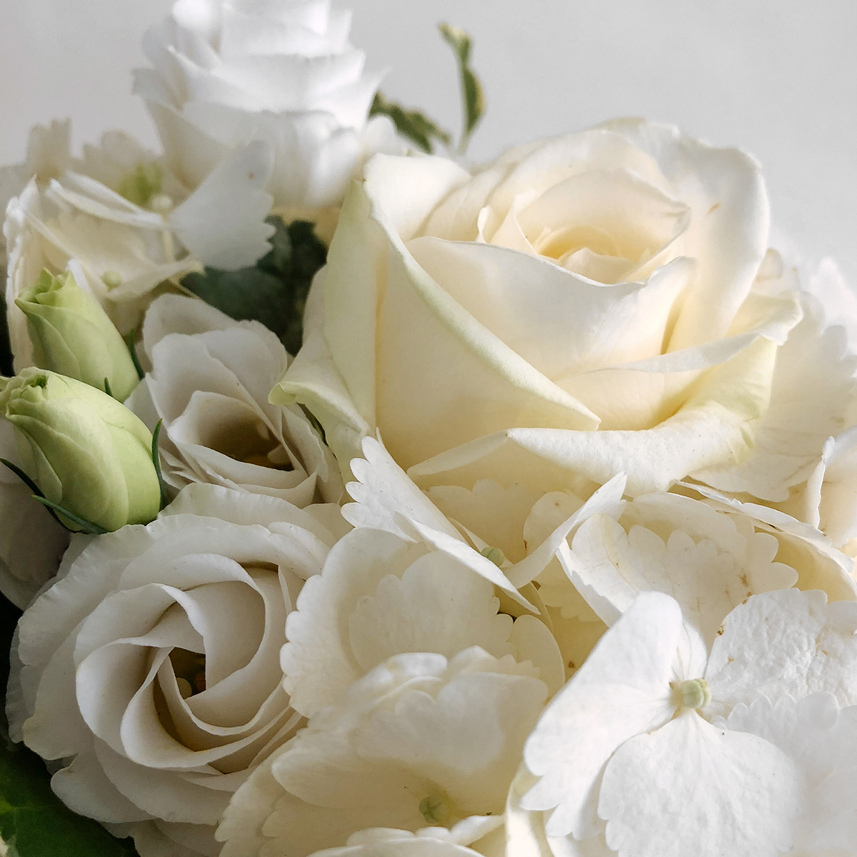 Hydrangea vase original