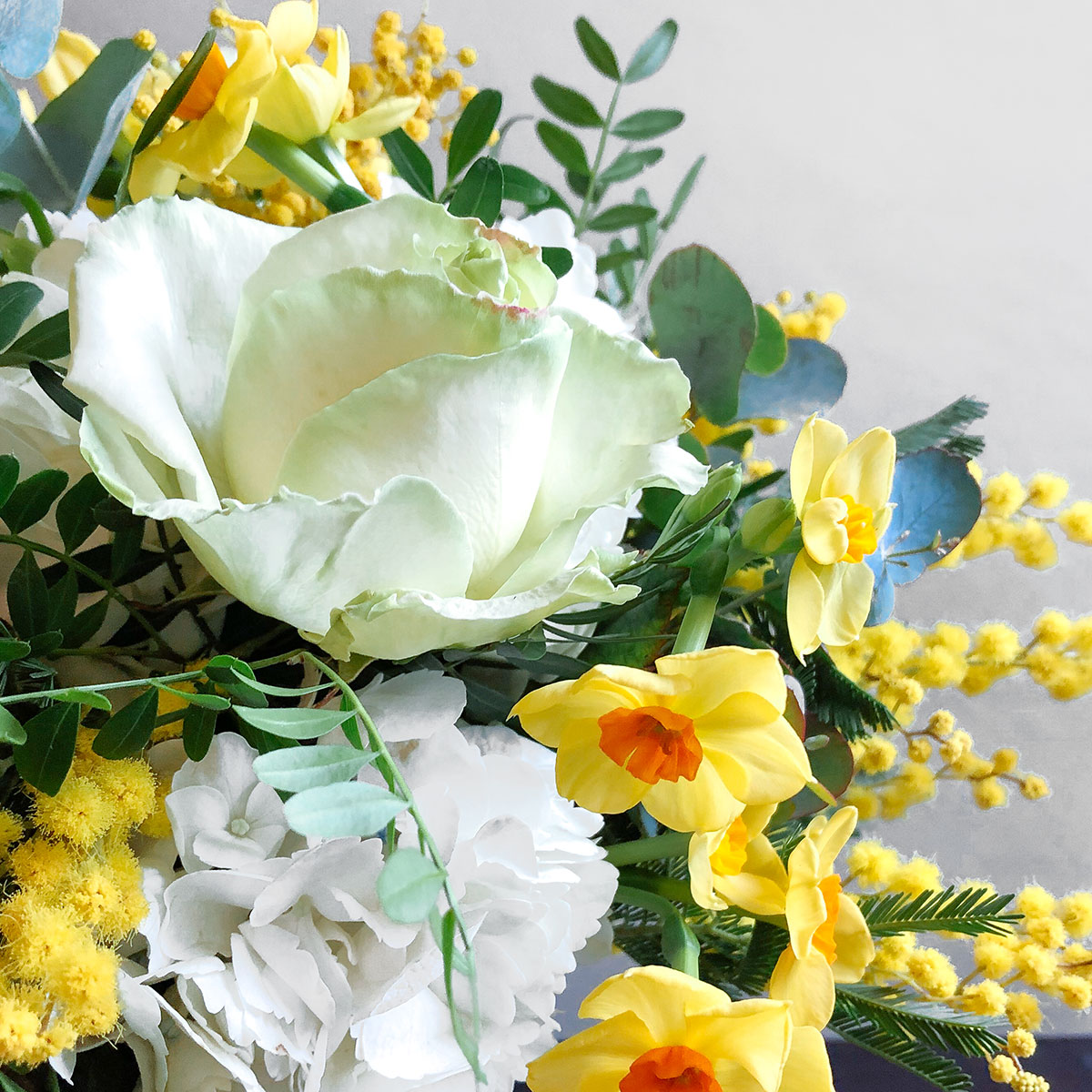 Sunny side up original