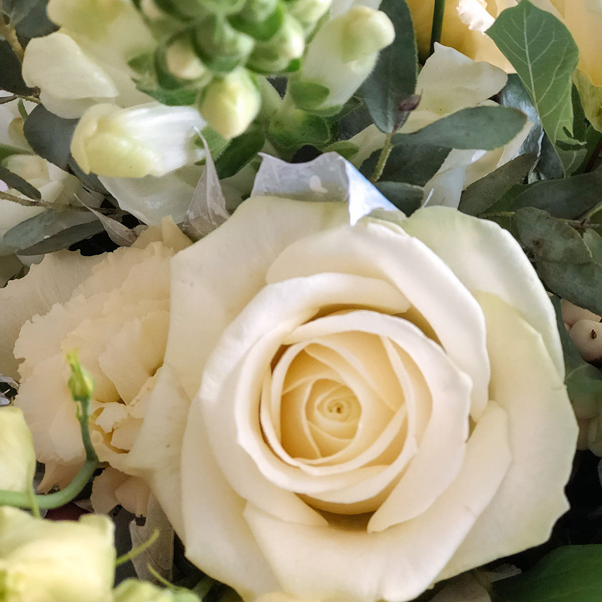 Autumn White Large original