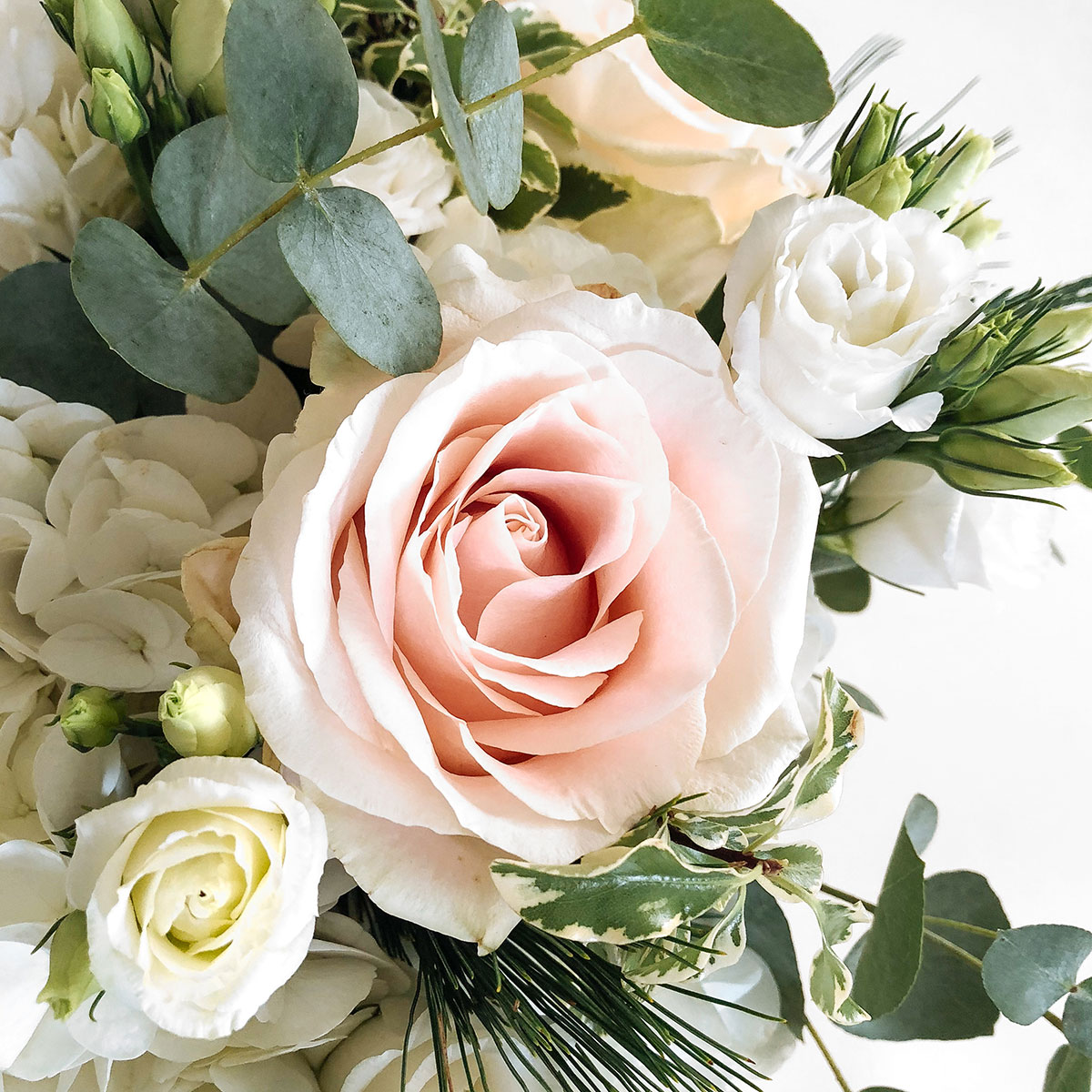 Doris small original