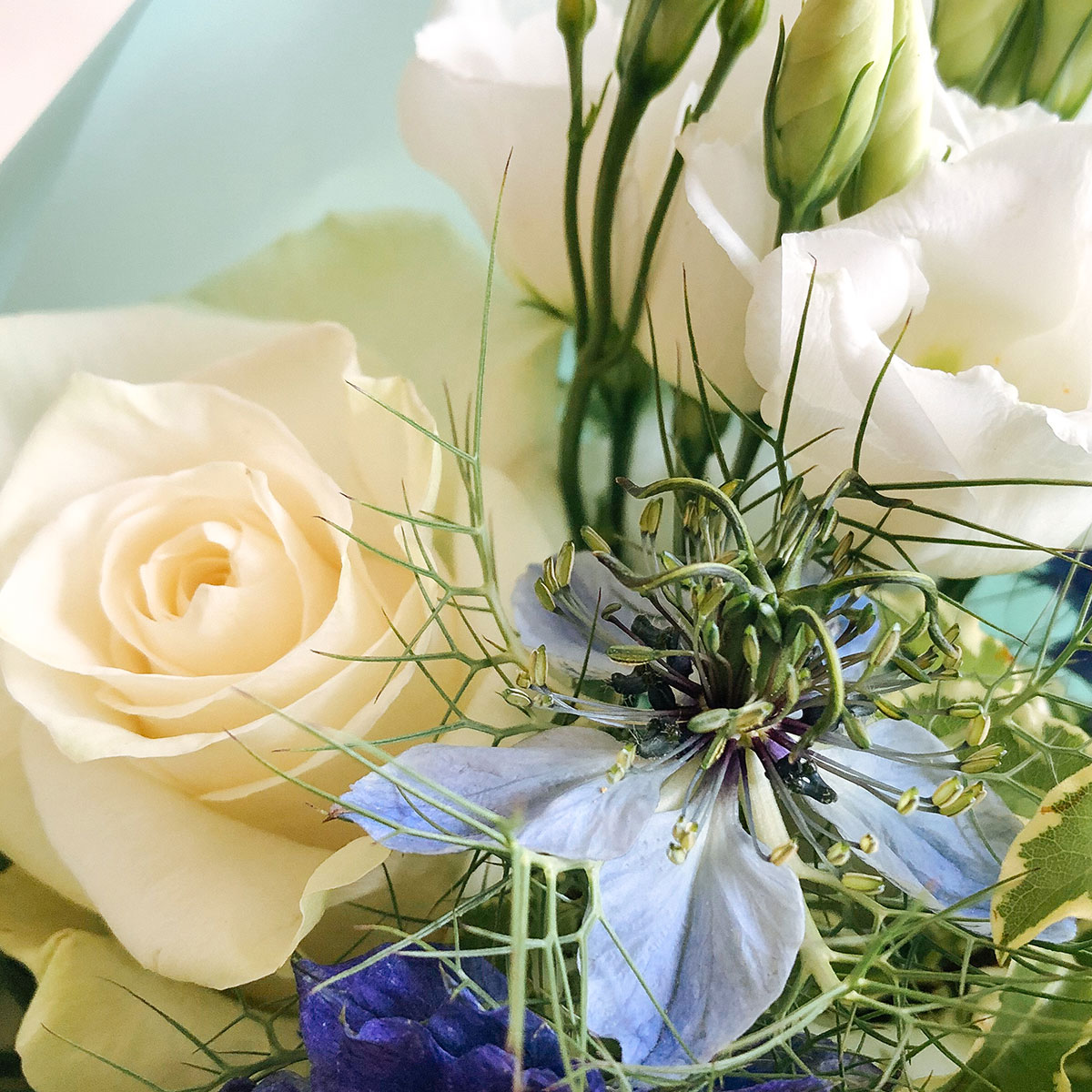 B is for Boy original