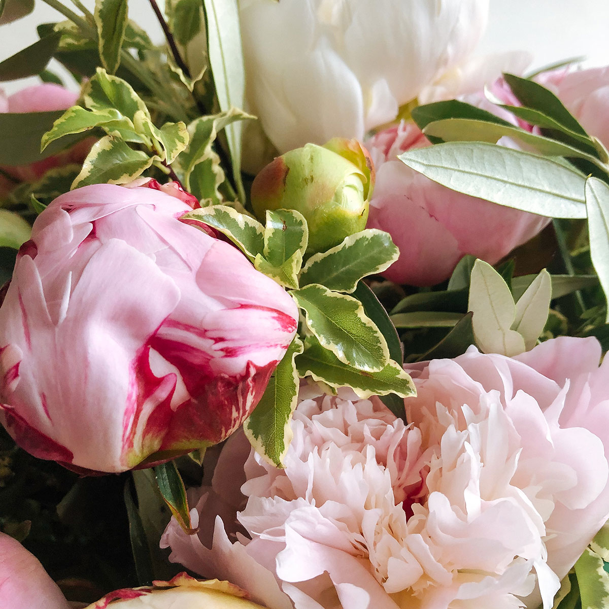 mixed Peonies original