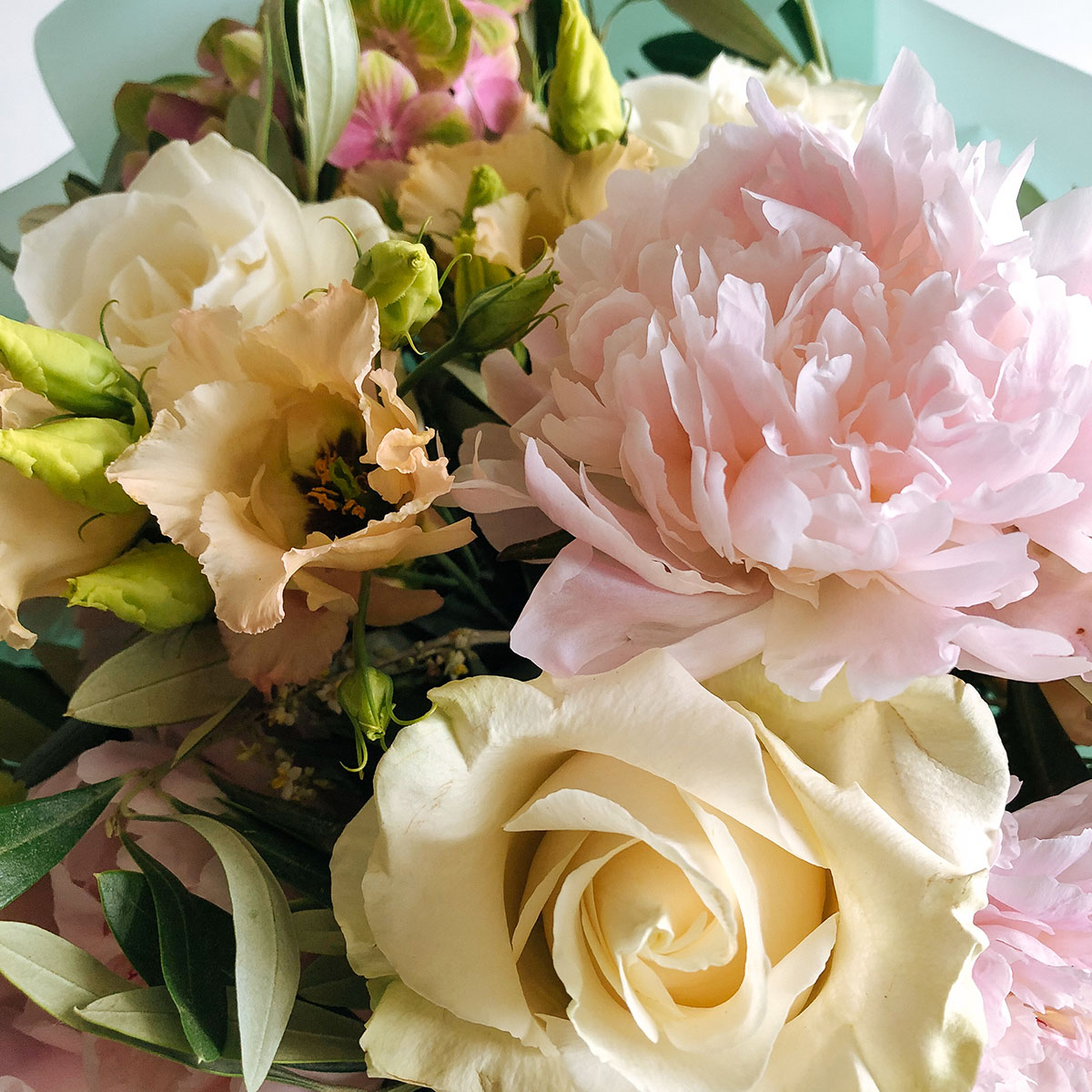 Angel's cheeks original