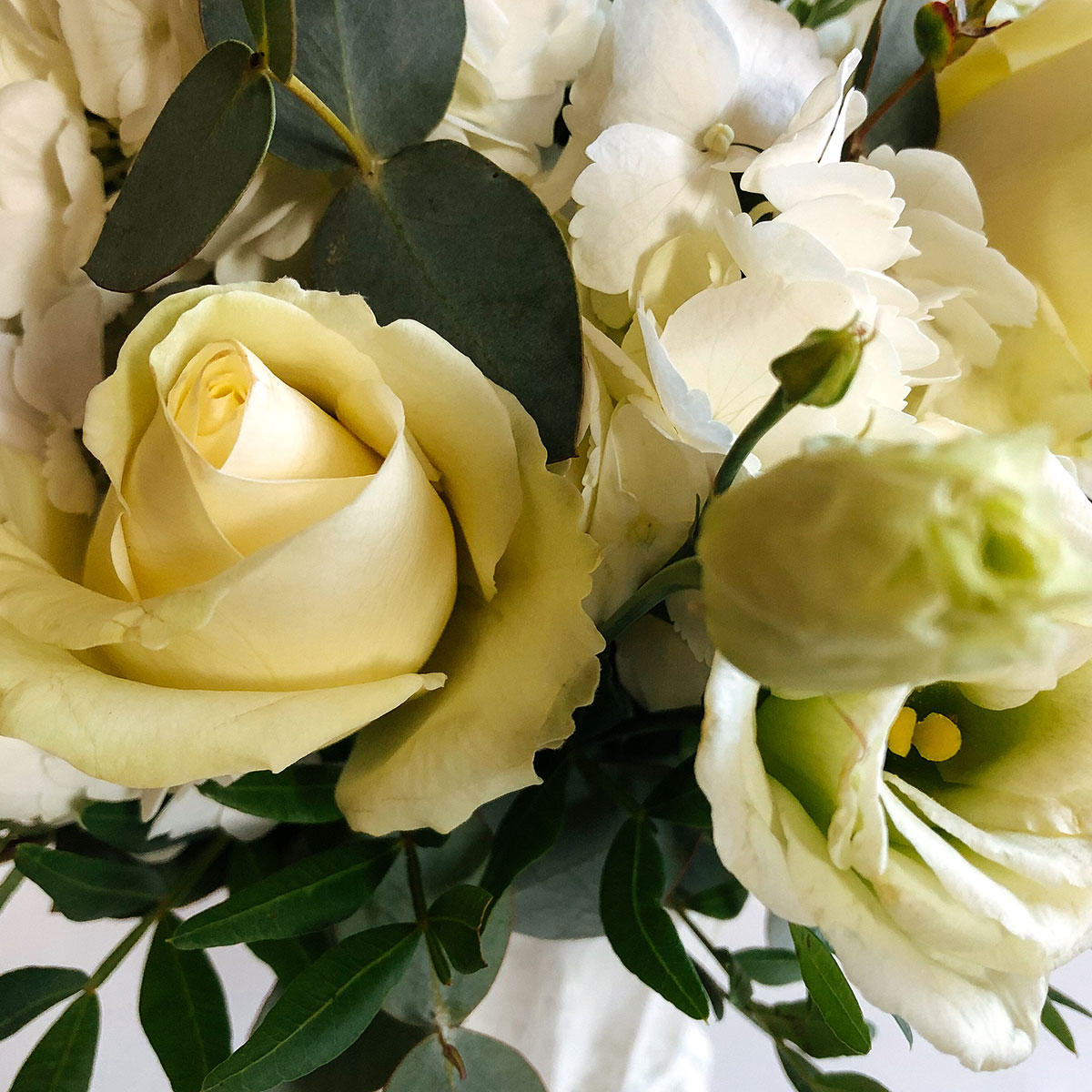 Selene original by Rose & Mary — flowers available for delivery from Floom