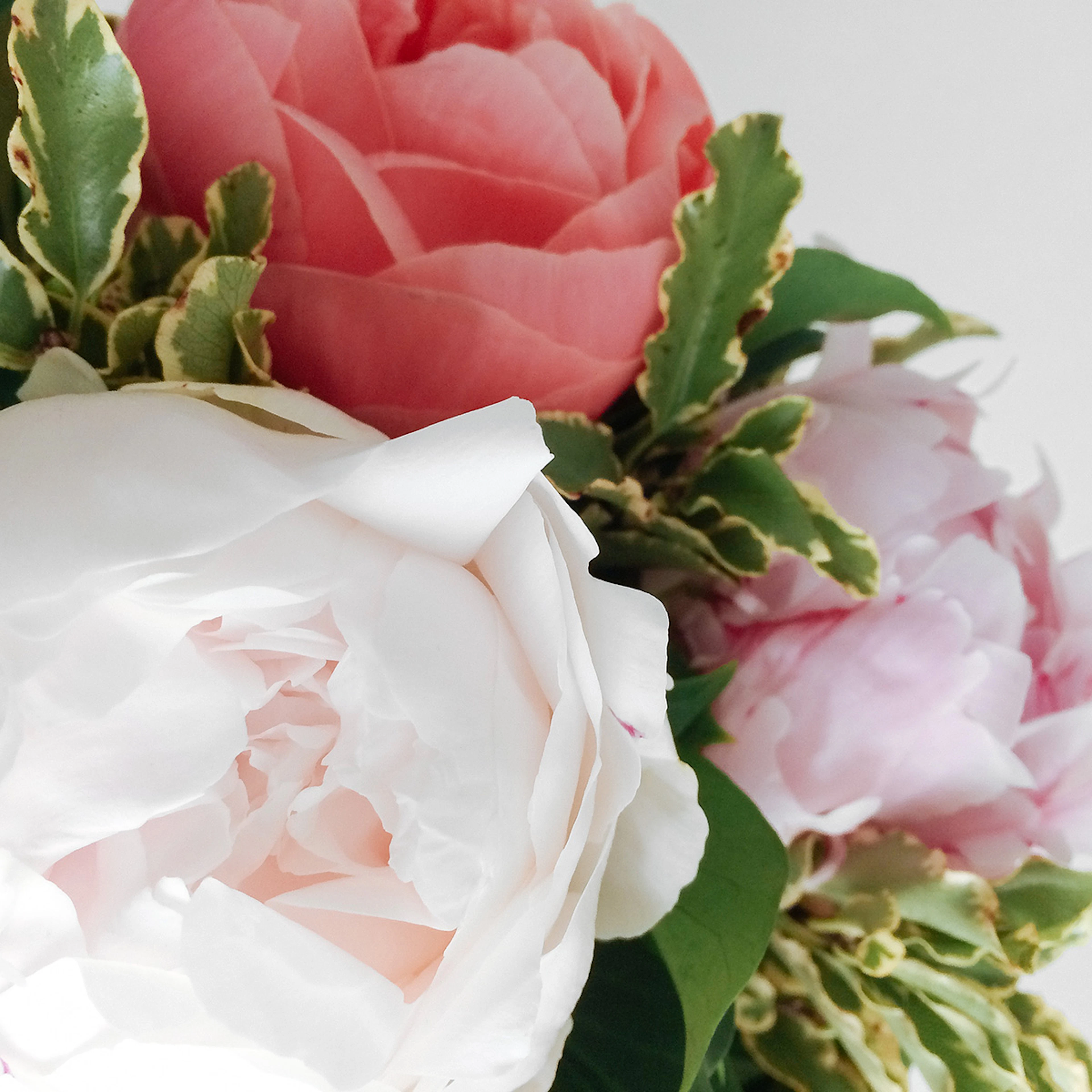 Peony Vase Small original