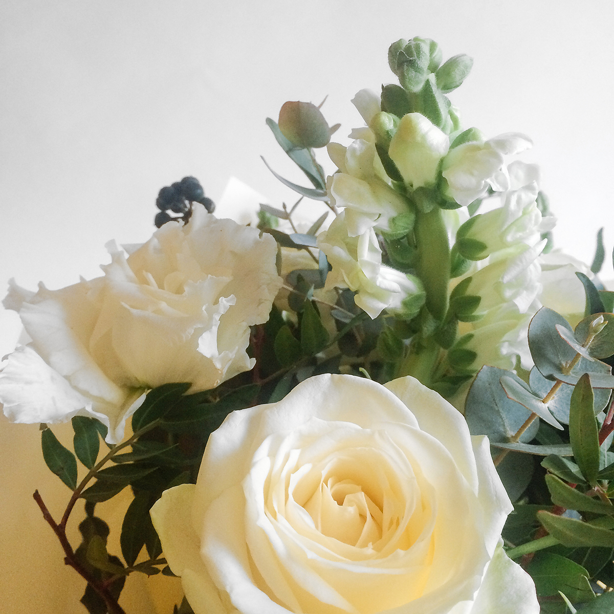 White Bouquet original