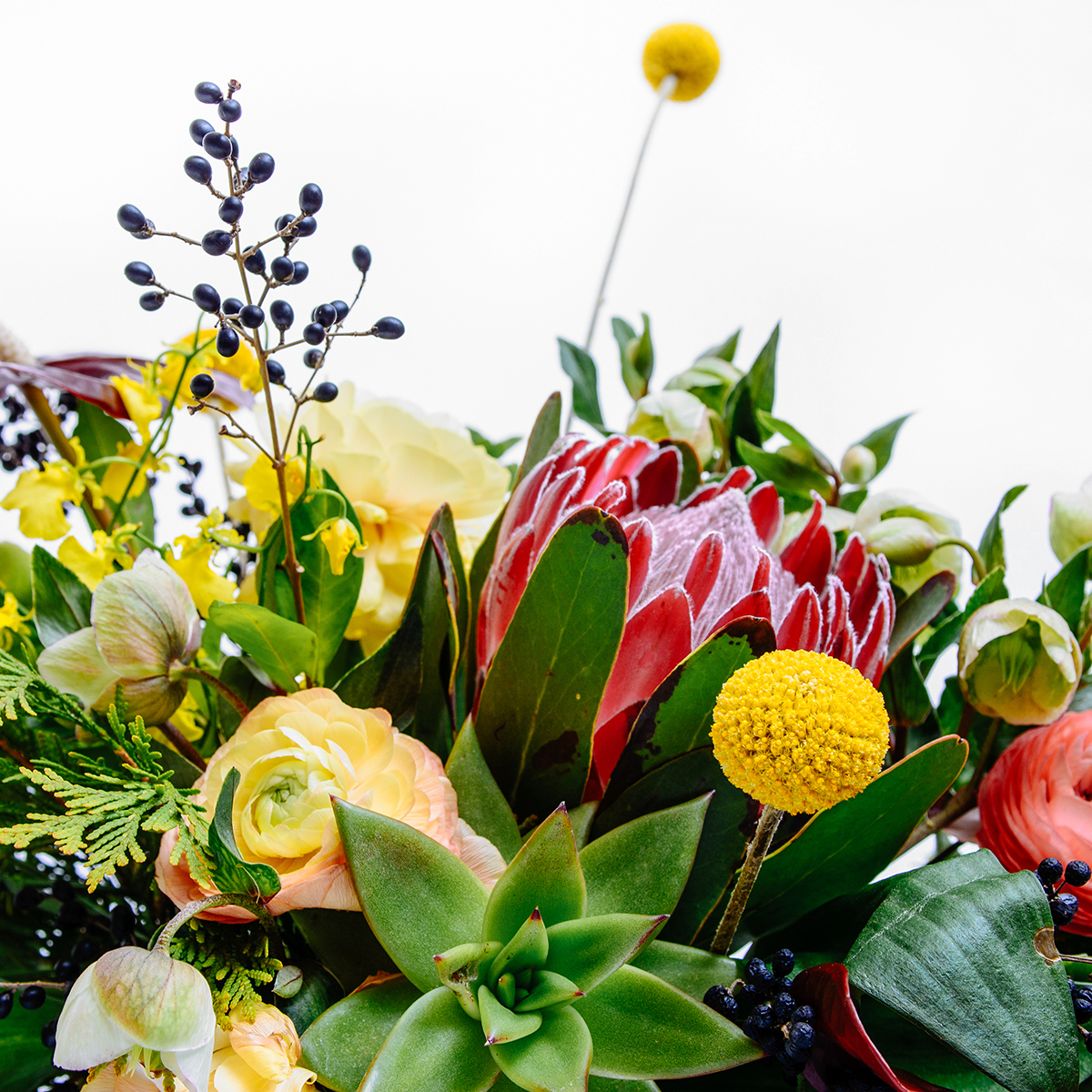 Tropical Garden original