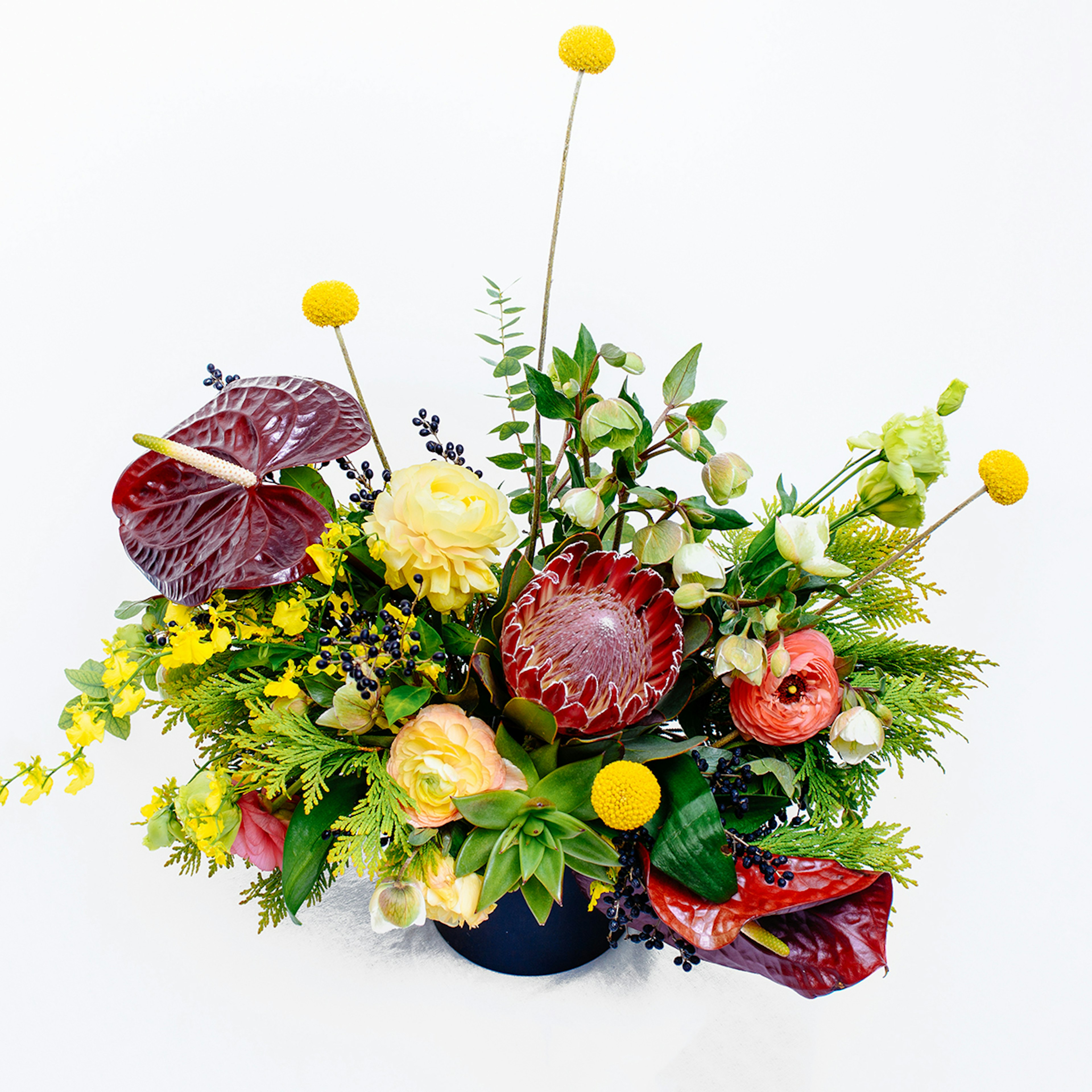 Tropical Garden original