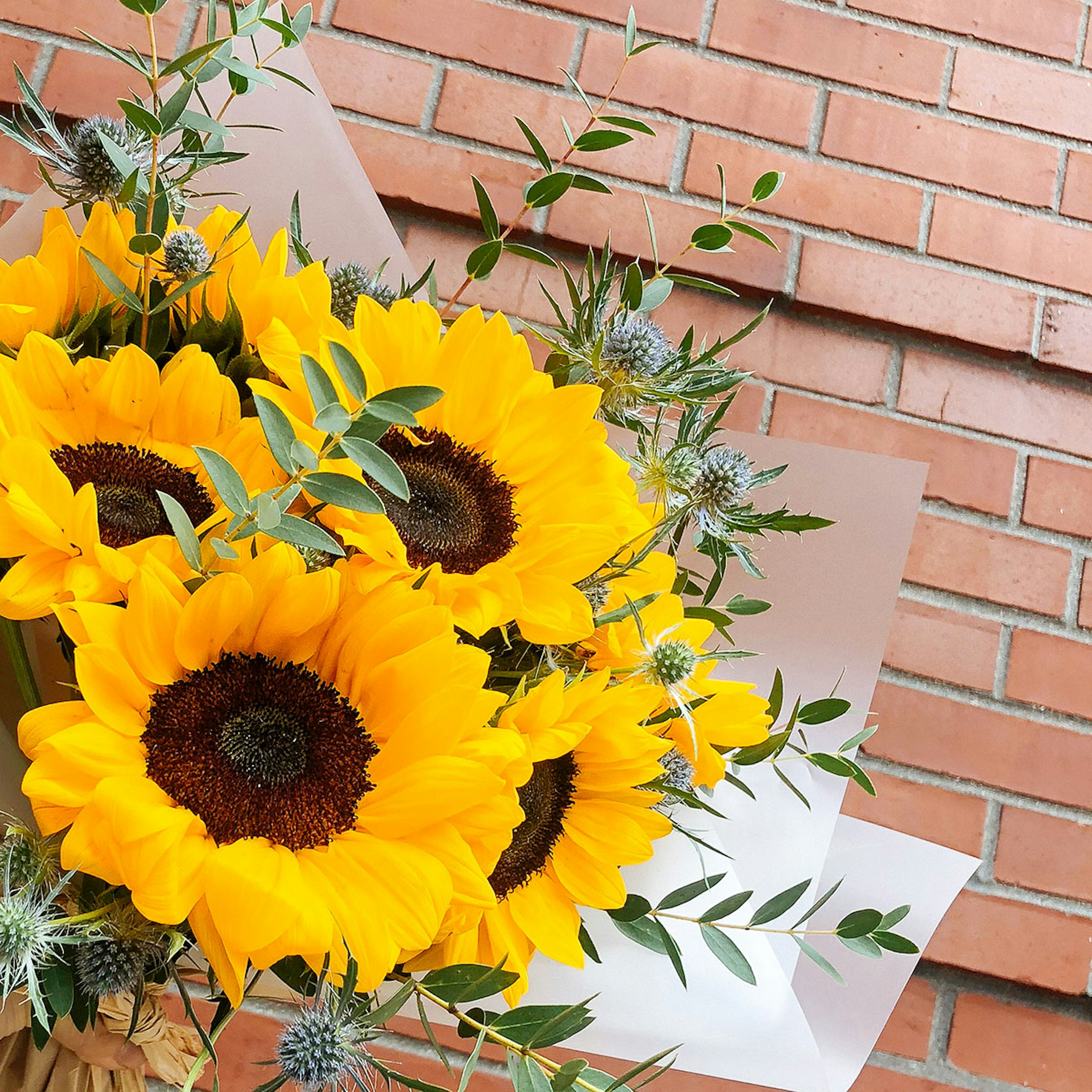 Hello Mr. Sun original