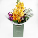 Opulent Orchids