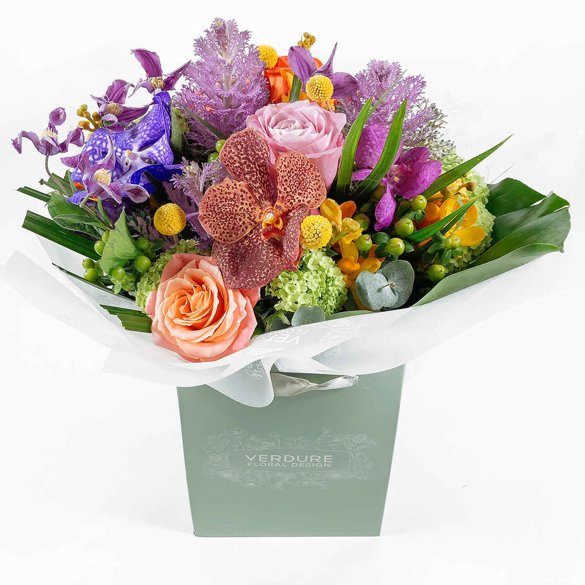 Riot of Colour original