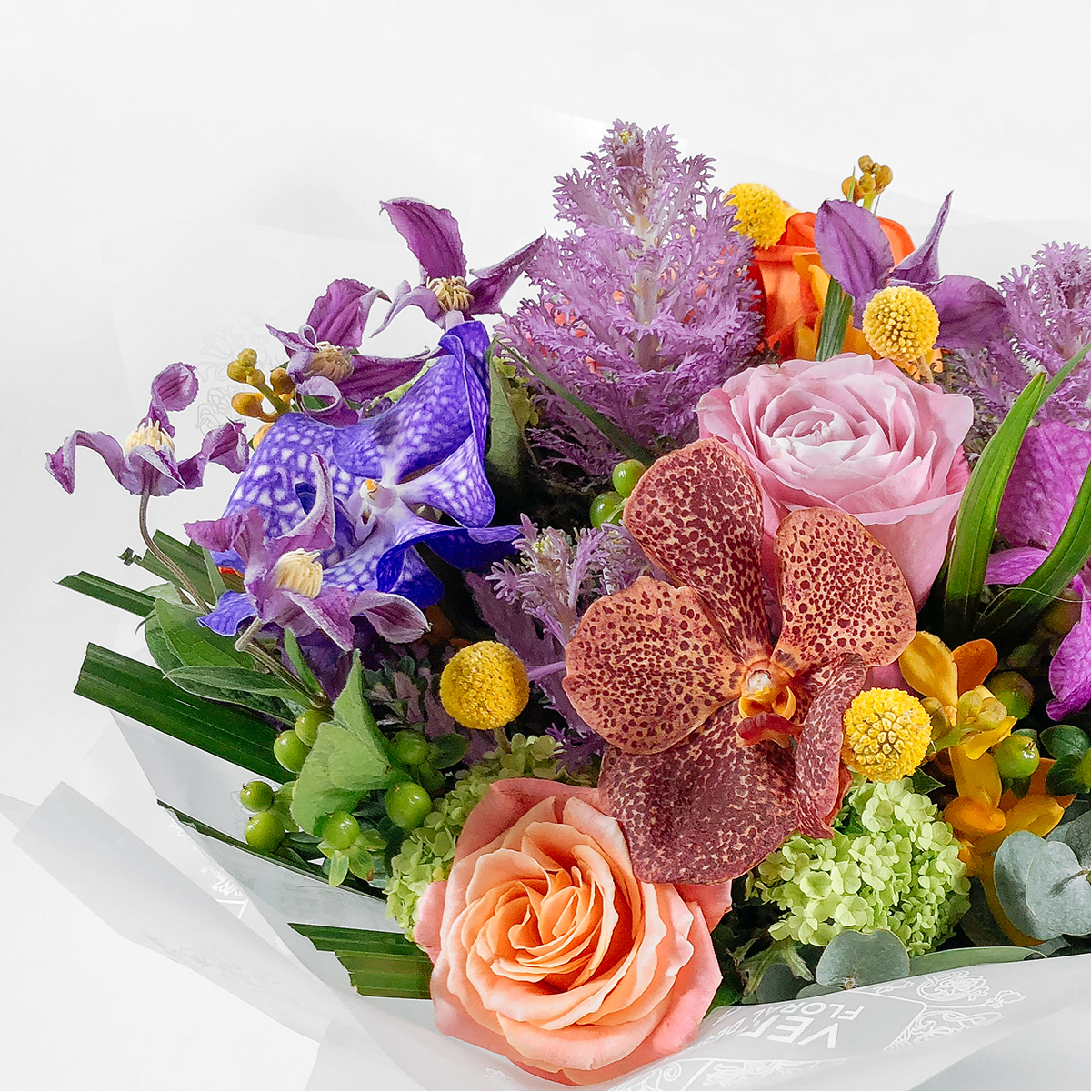 Riot of Colour original