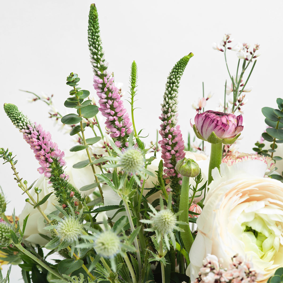 Pretty Ranunculus original