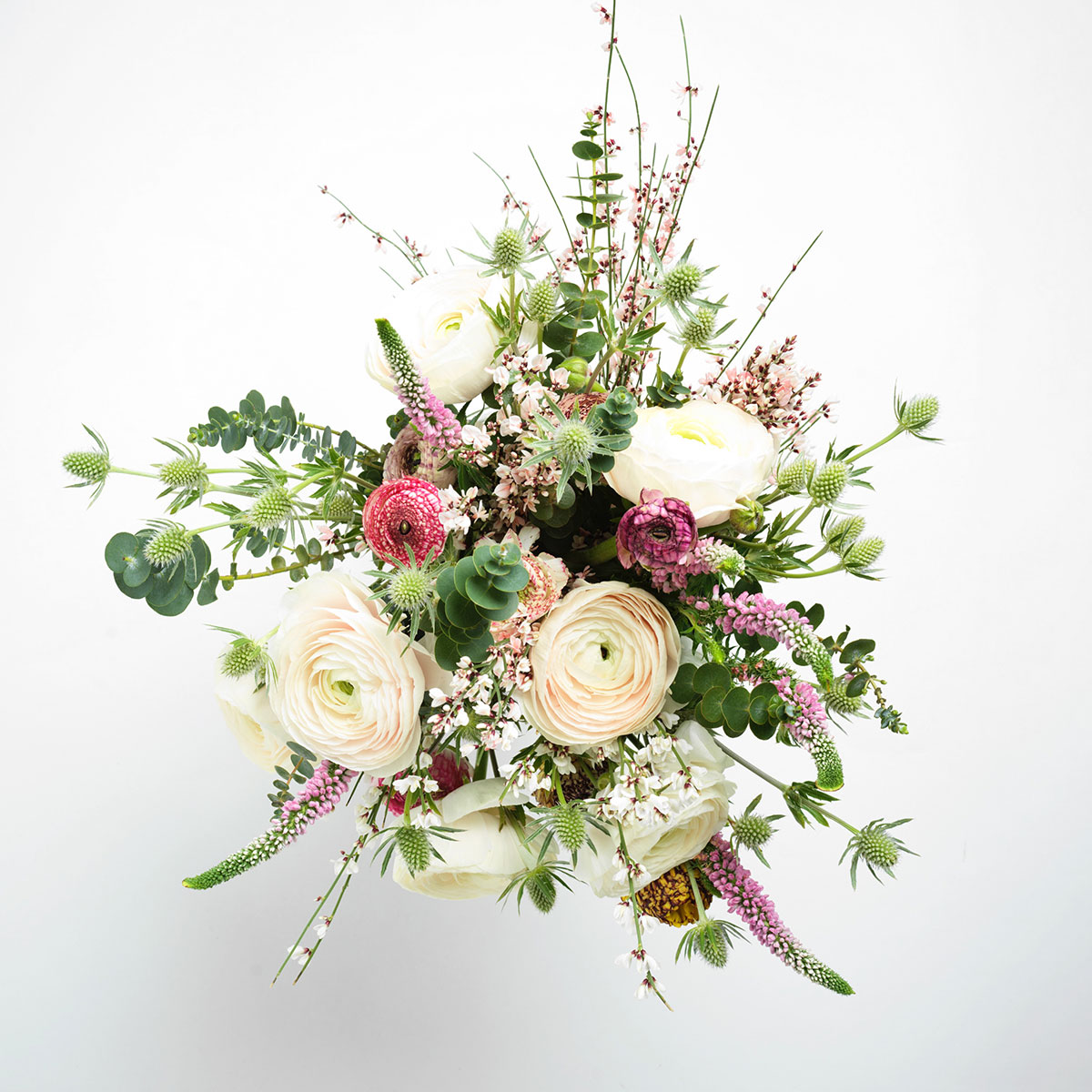 Pretty Ranunculus original