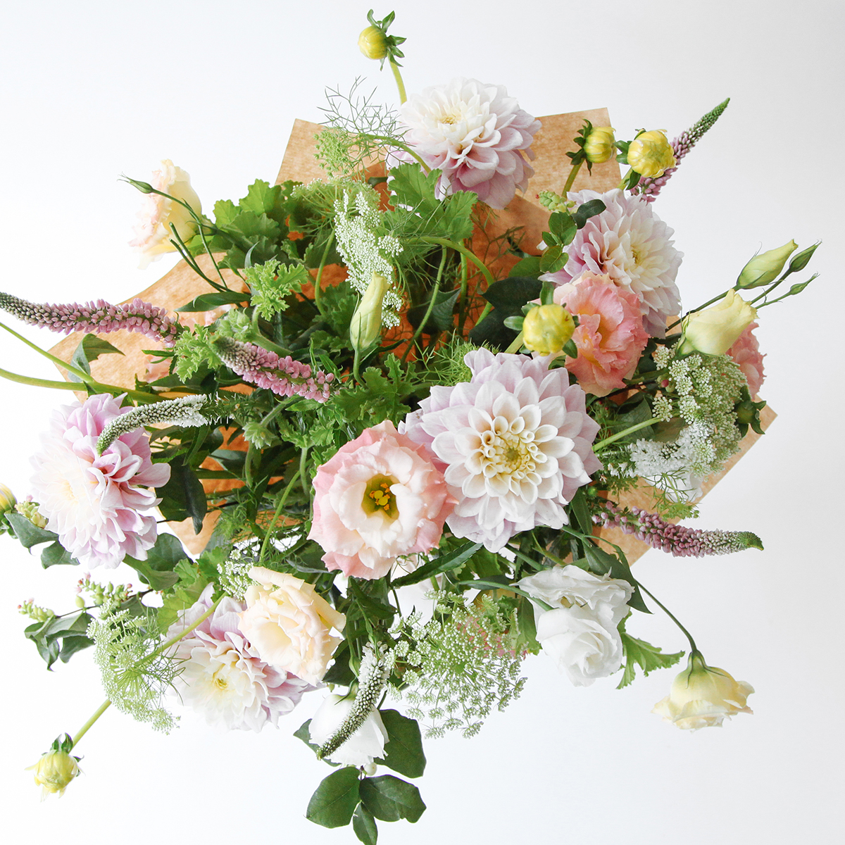 Pretty Flamingo original