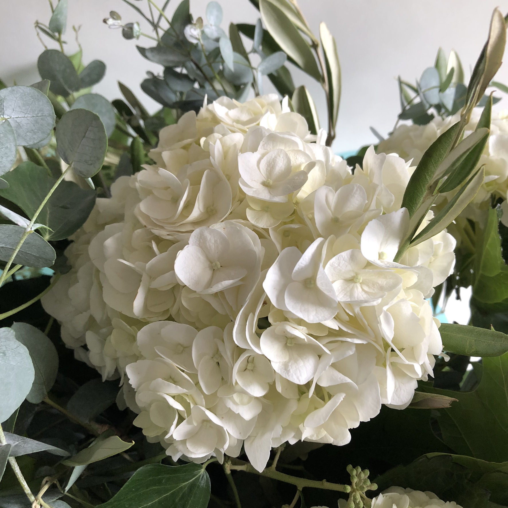 baby Hortense original