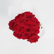 The Fred & Wilma original