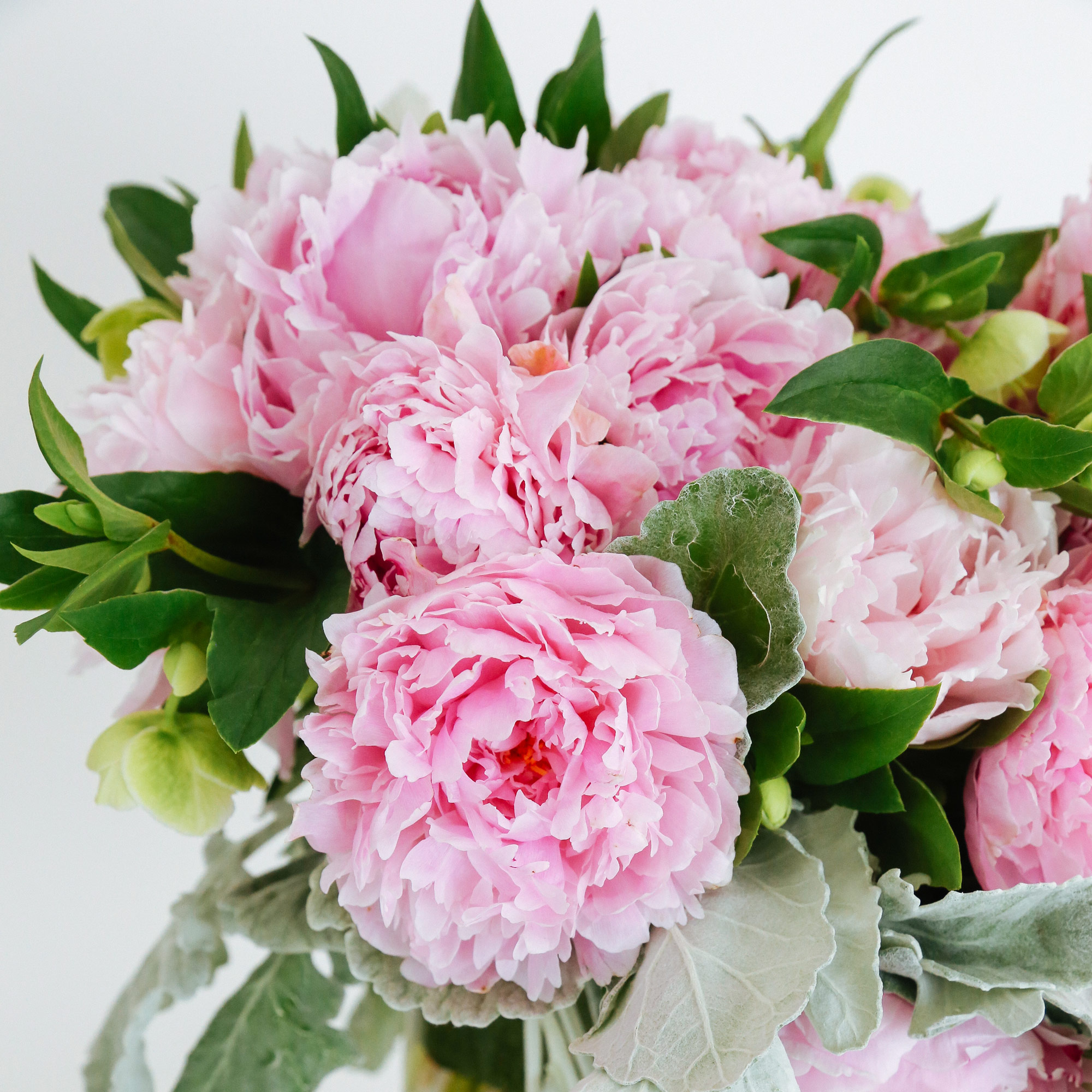 Pink Peony Clouds original