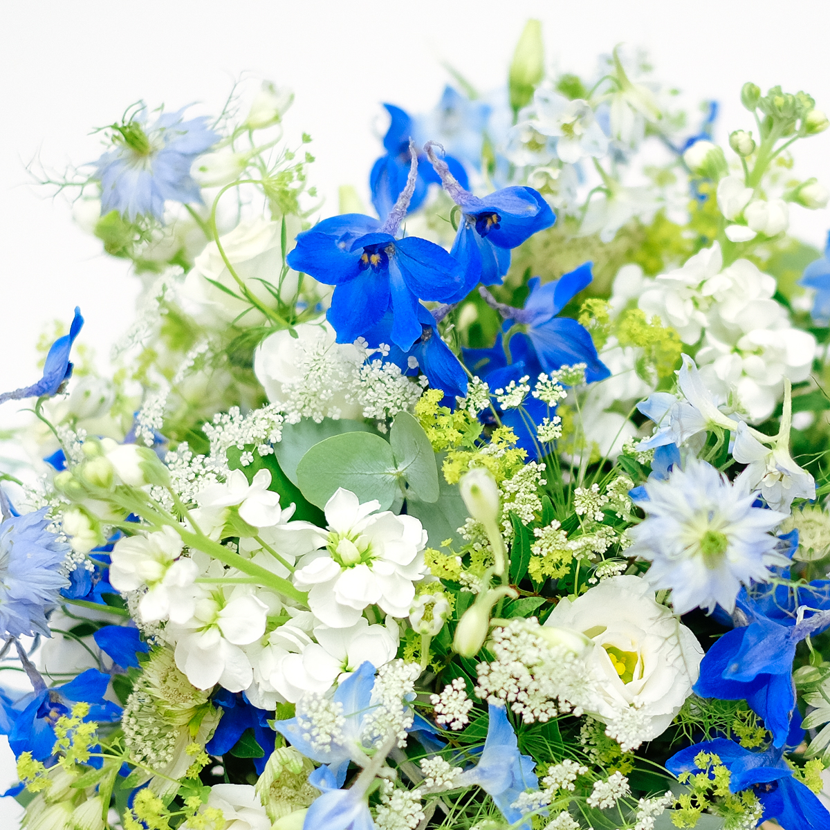 Baby Oh Boy! original