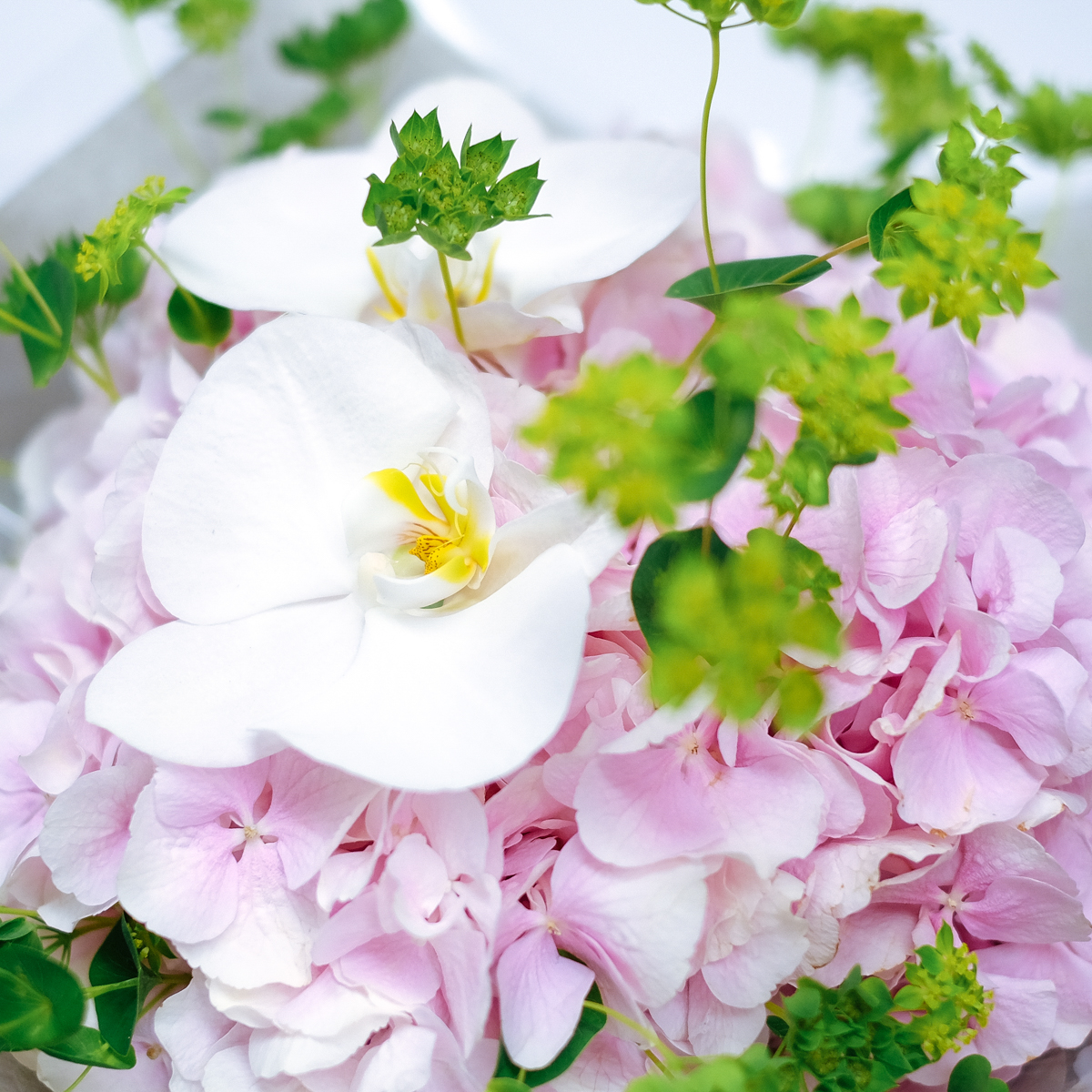 PimmsOclock original