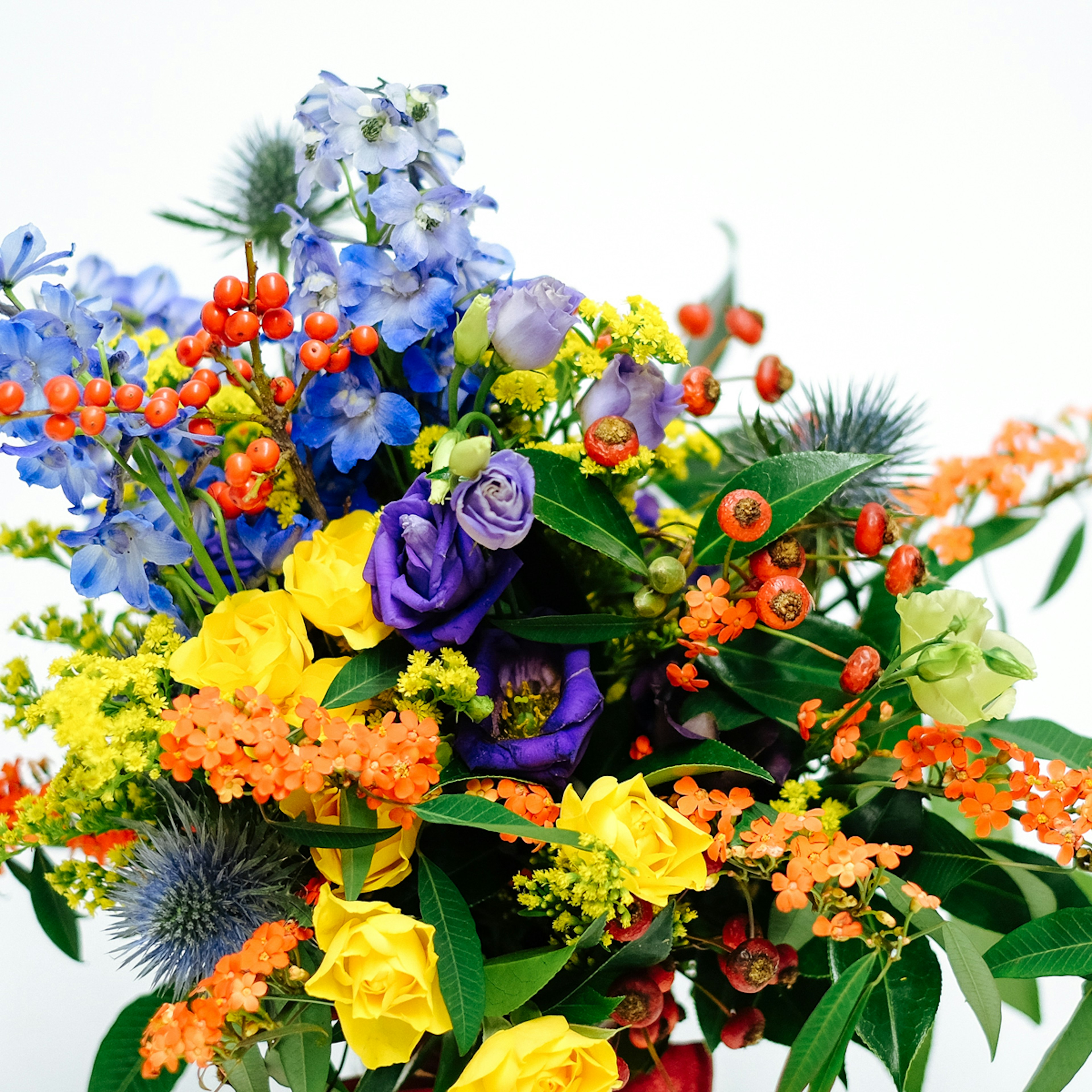 Winter Rainbow original