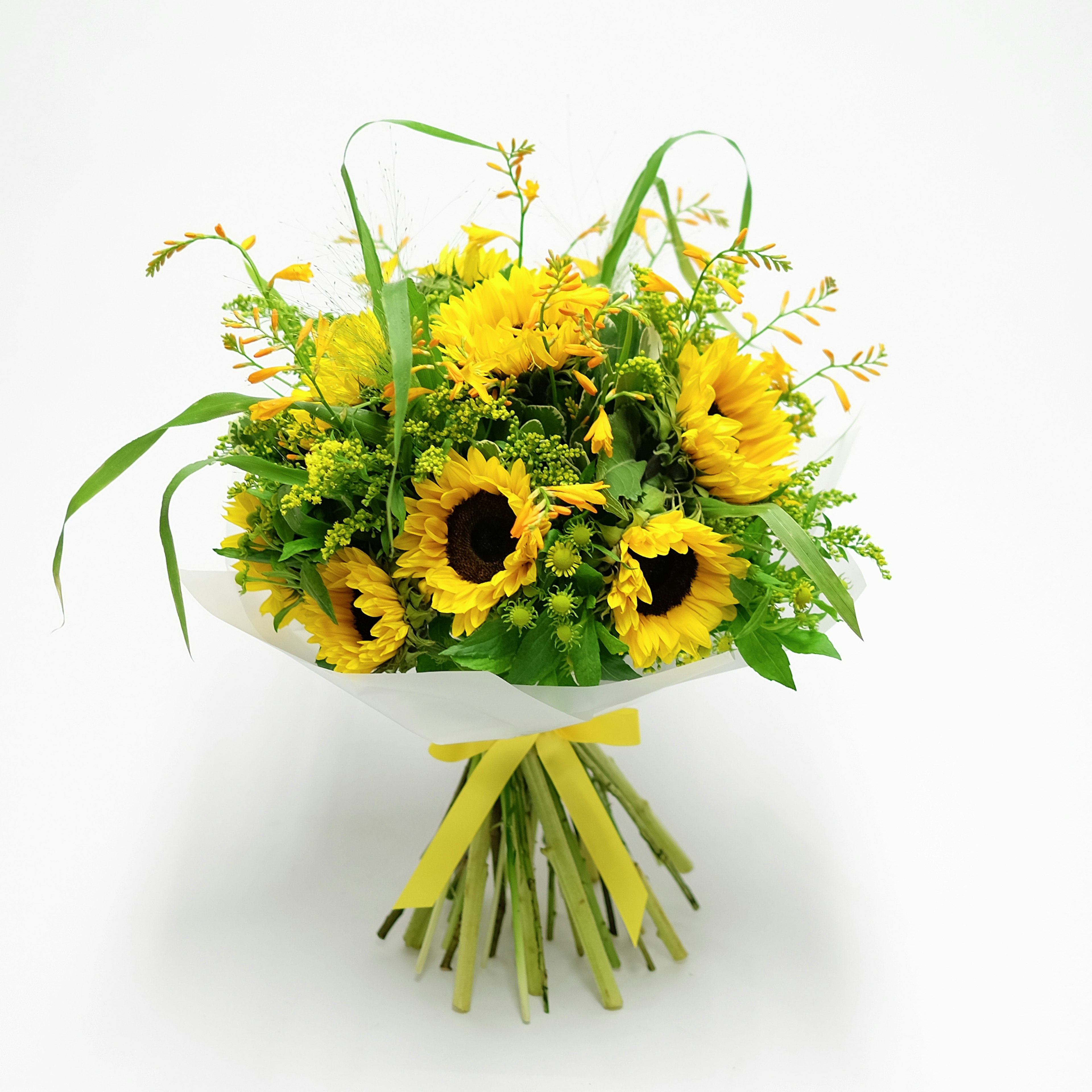 Goldeneye (large) original