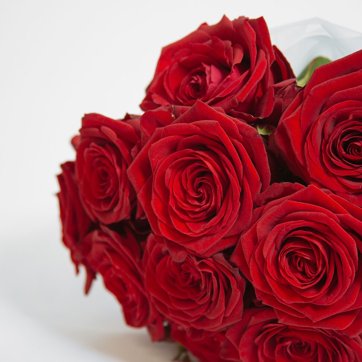 The Fred & Wilma original