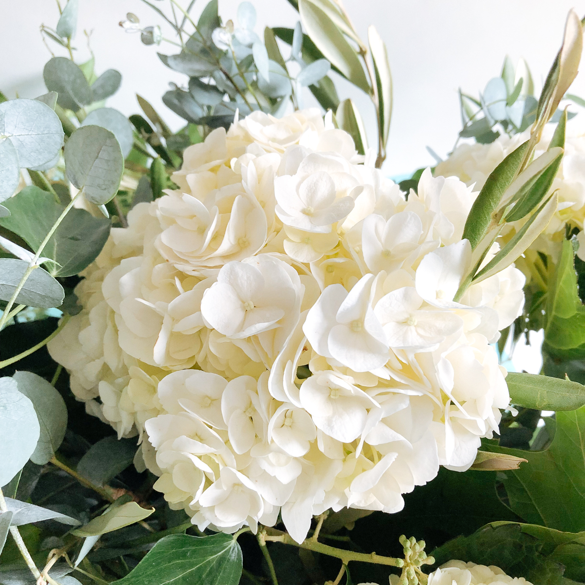 Mme Hortense original