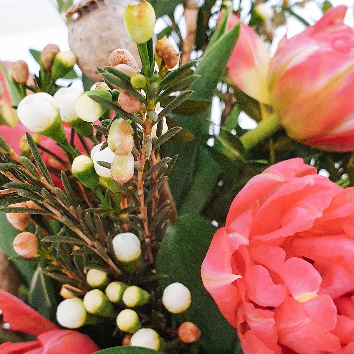 The spring jar original