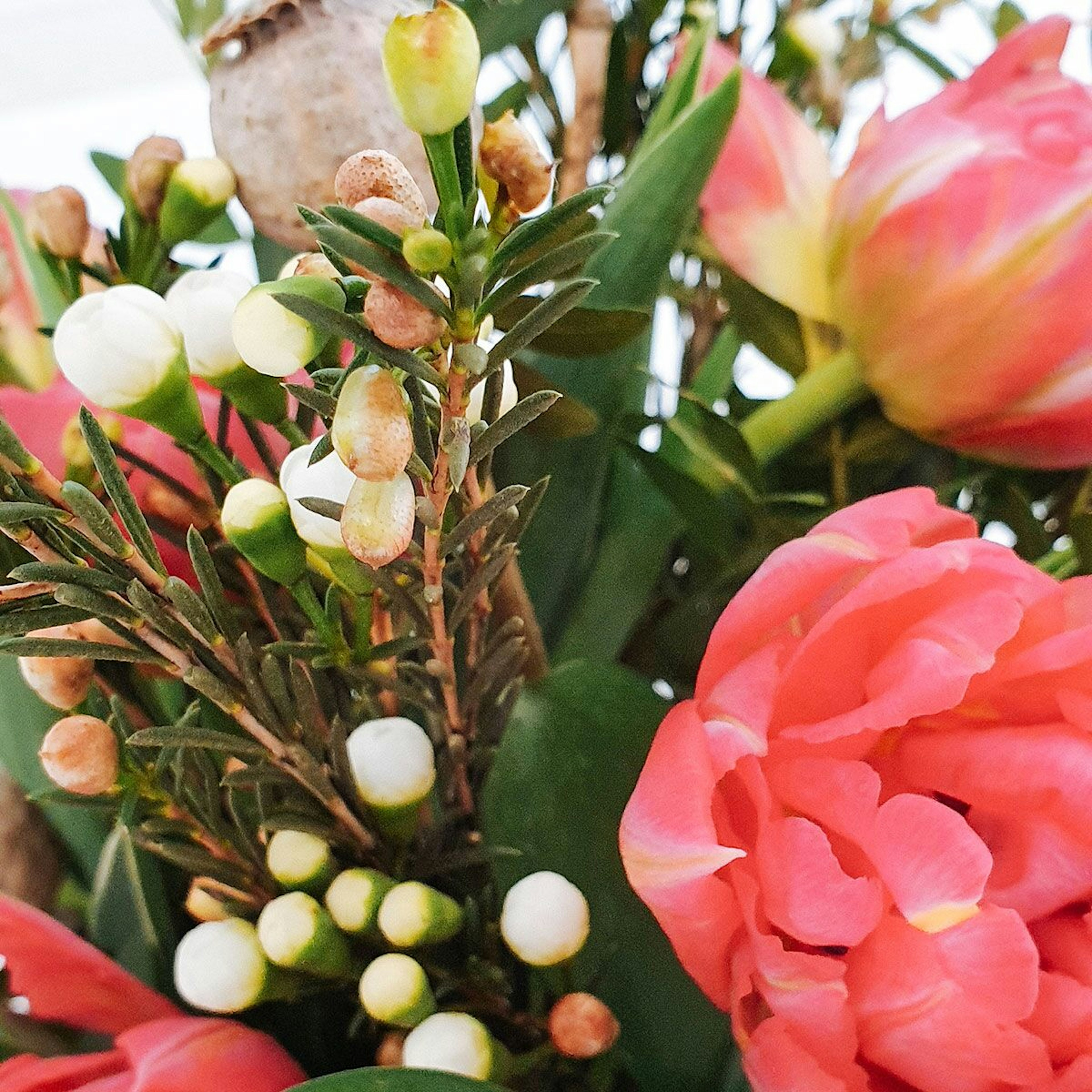 The spring jar original