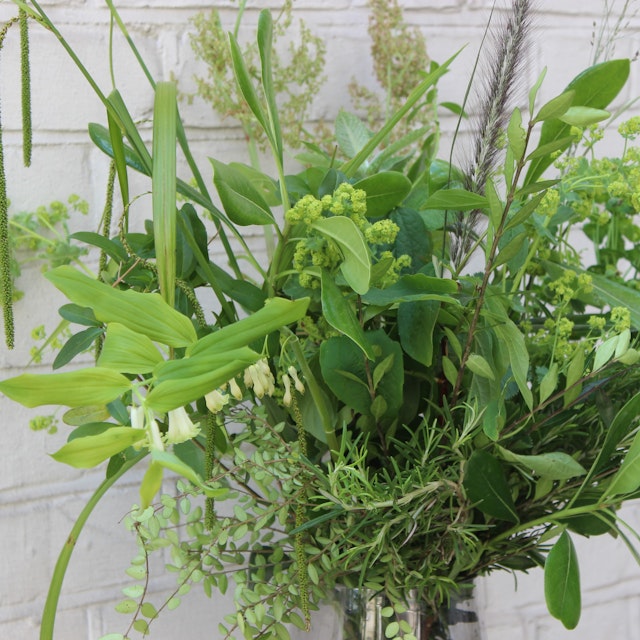 Herbaceous