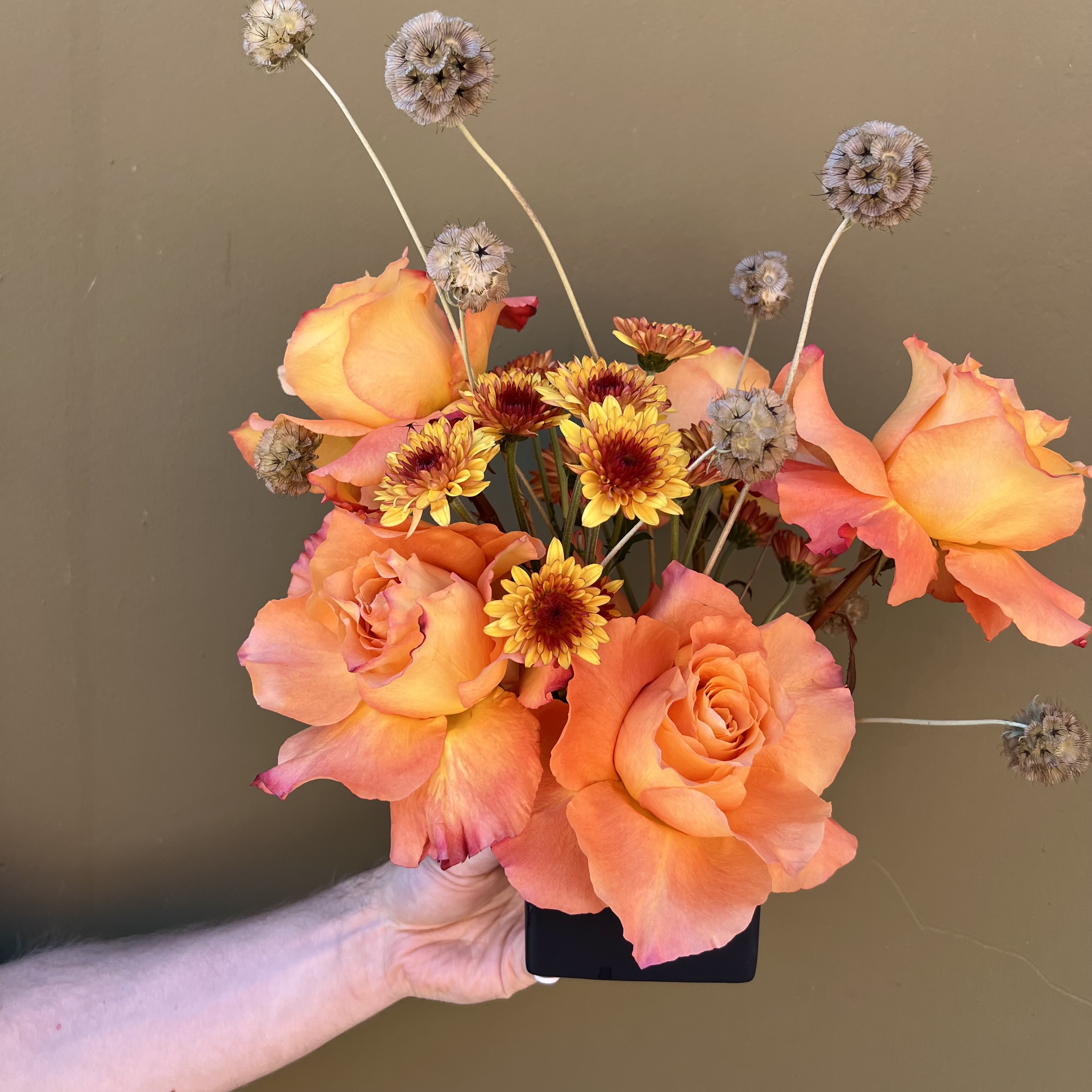 Midnight Pumpkin by The English Garden — flowers available for delivery from Floom
