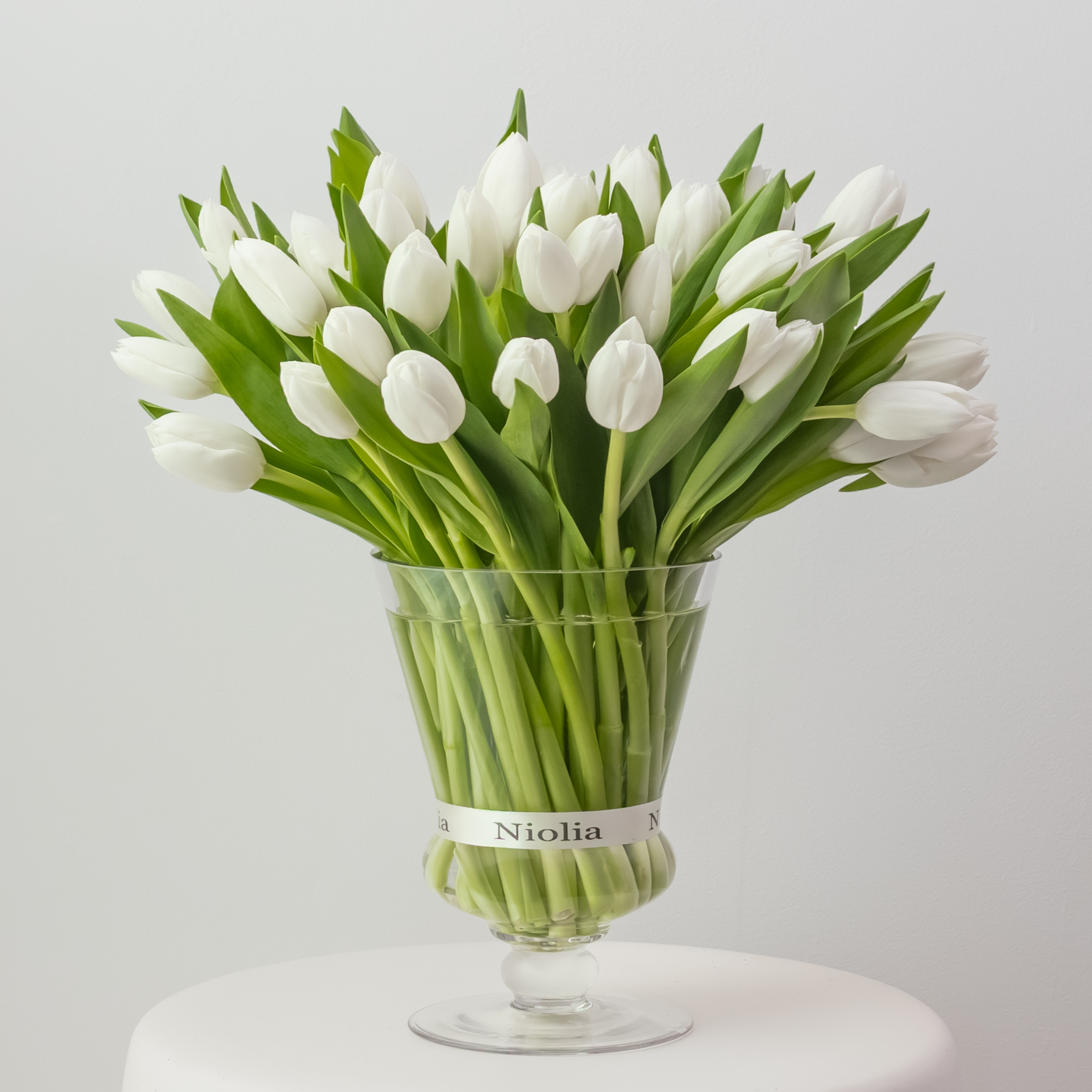 White Maison Tulips