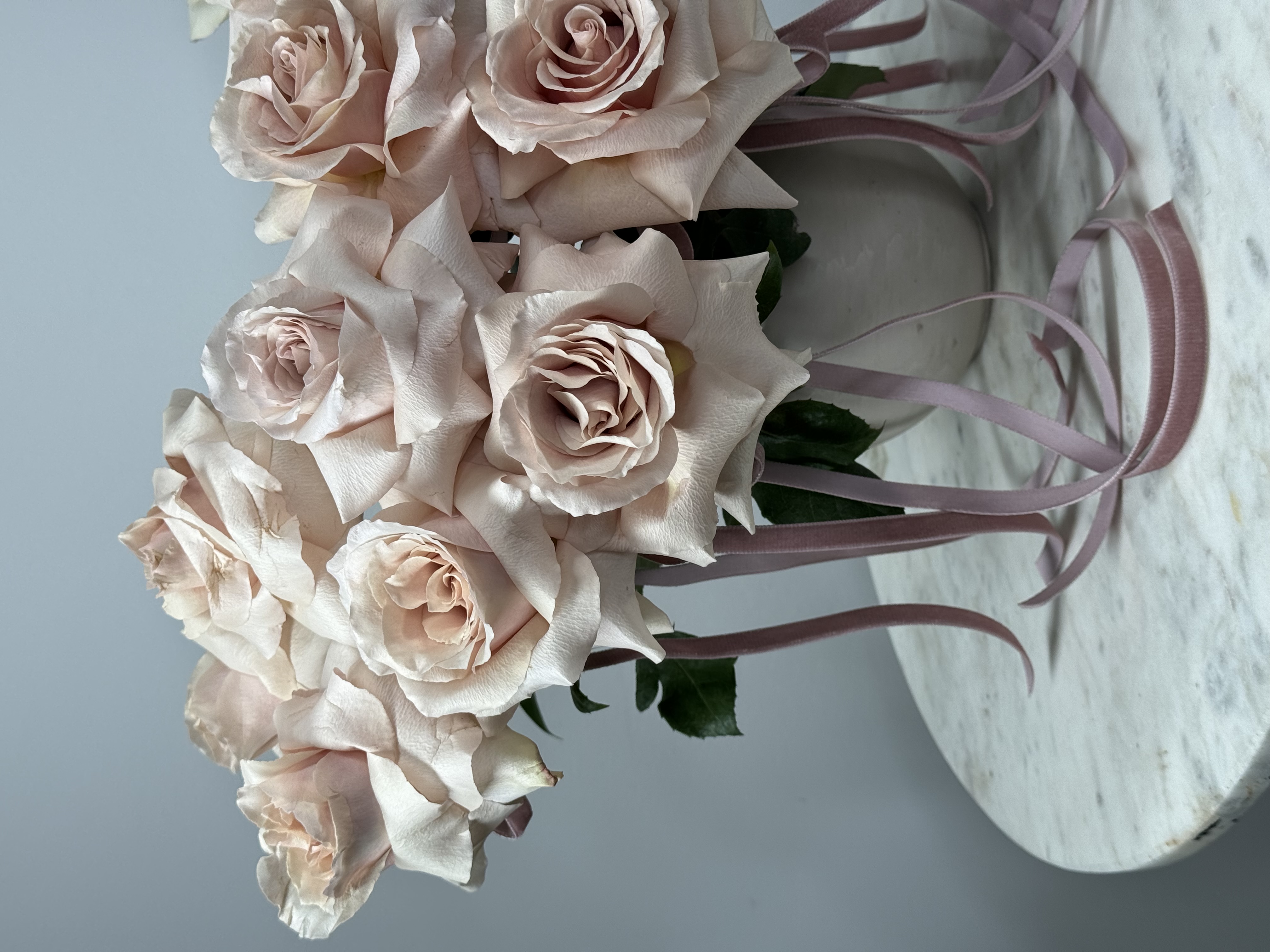 Light Pink Roses Kiss