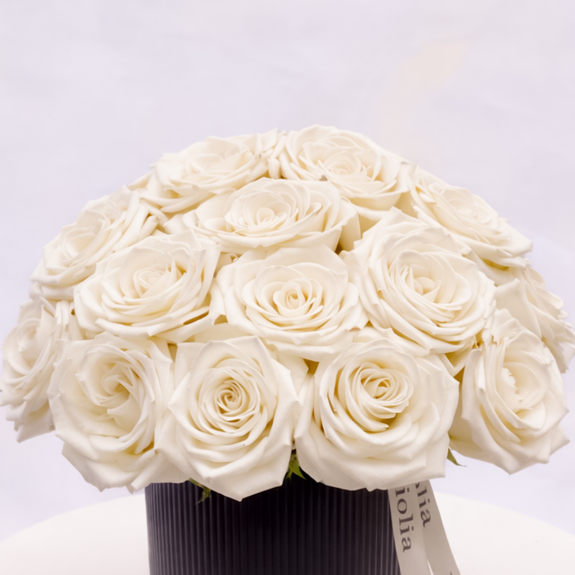 Classic White Roses
