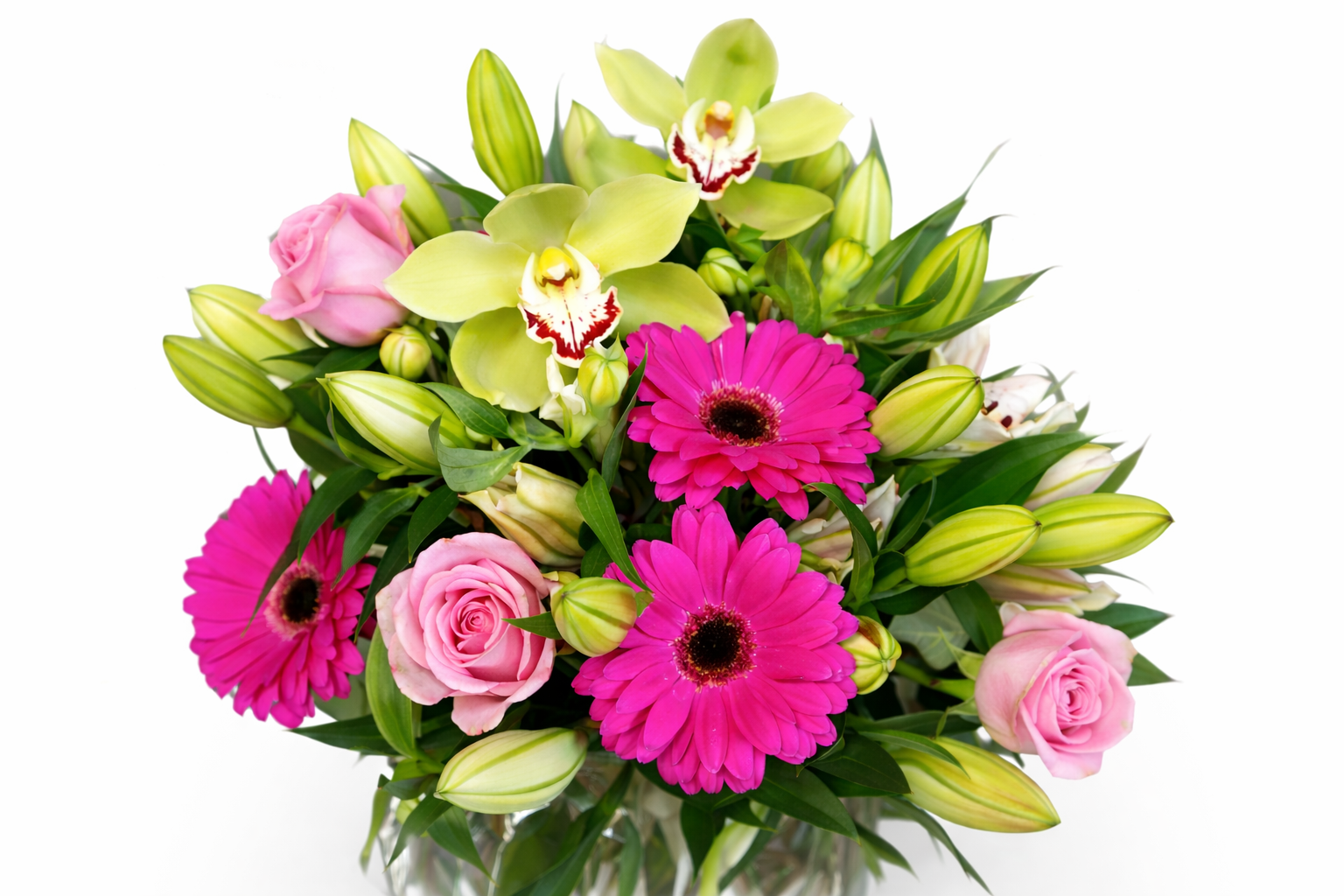 Bright and Beautiful