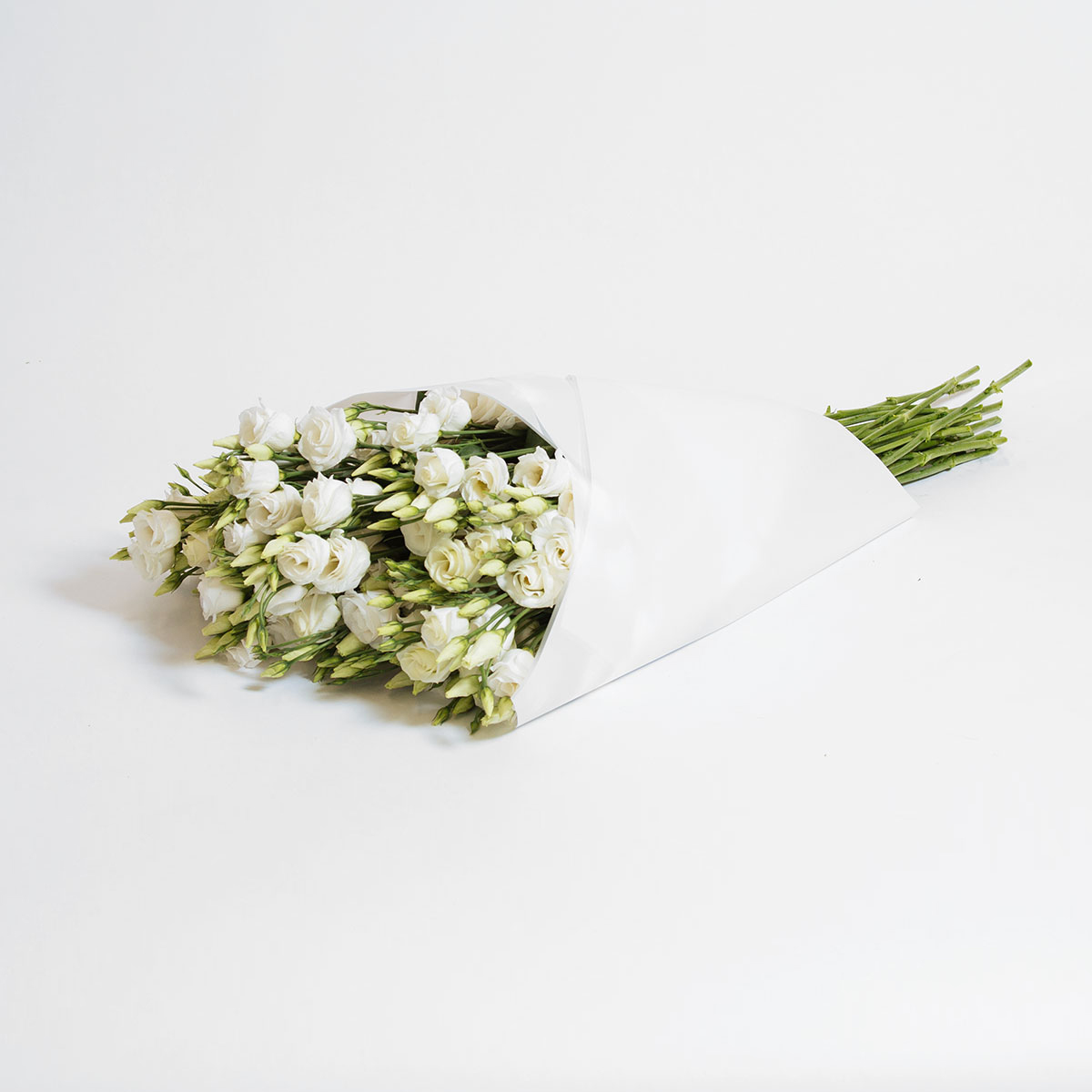 White Lisianthus