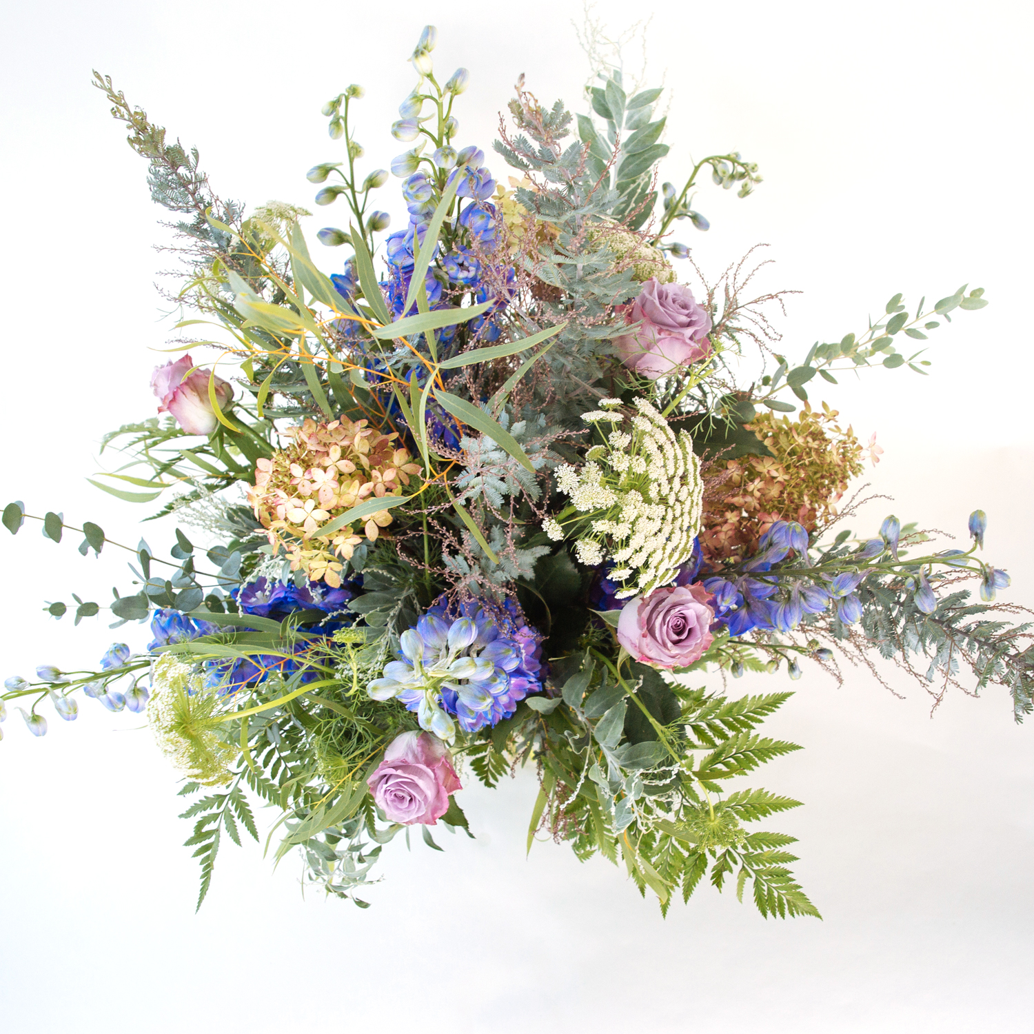 To the Moon and Back