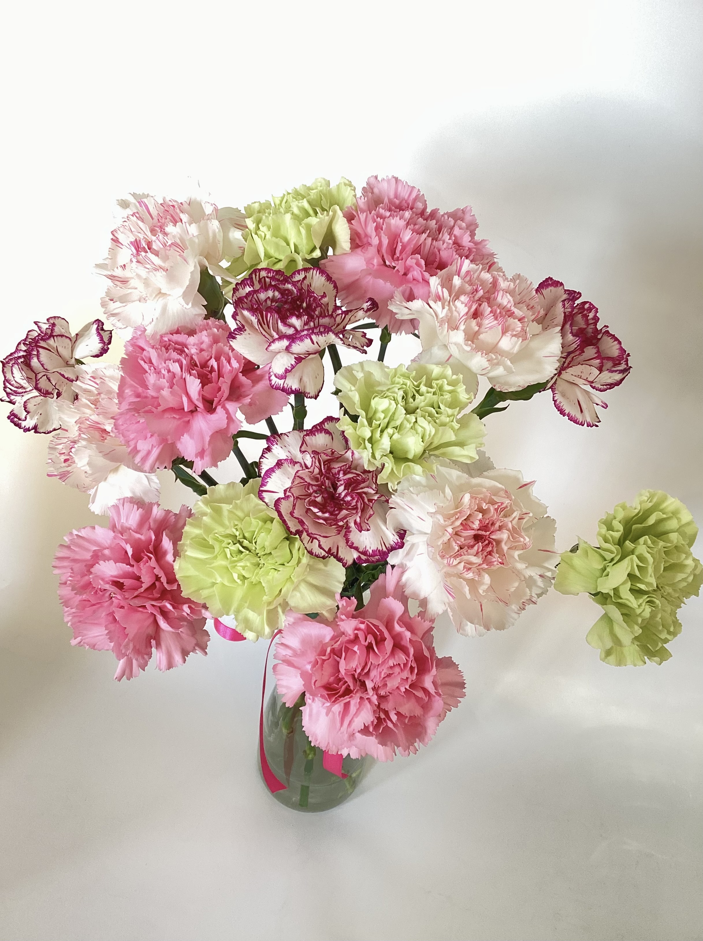Dianthus