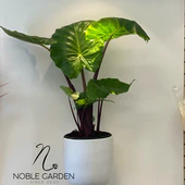 Original by Noble Garden Florist Weho — flowers available for delivery from Floom
