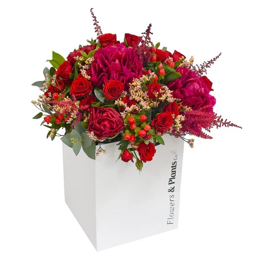 Original by Flowers & Plants Co — flowers available for delivery from Floom