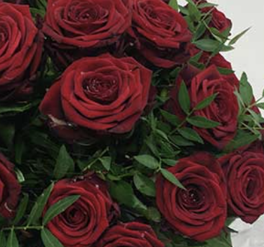 Luxury 12 red roses