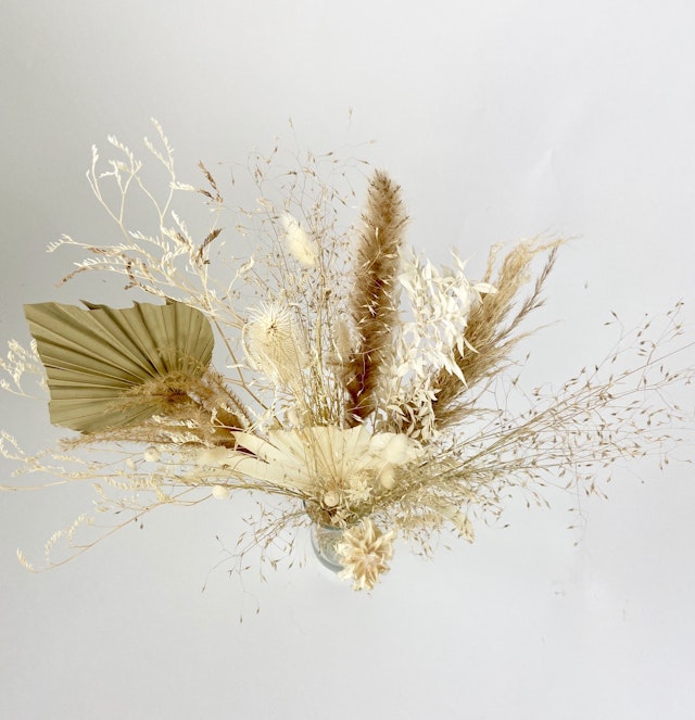Foraged Botanicals