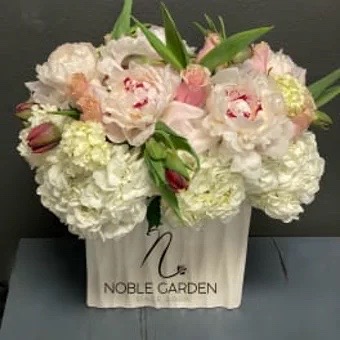Peonies in vase